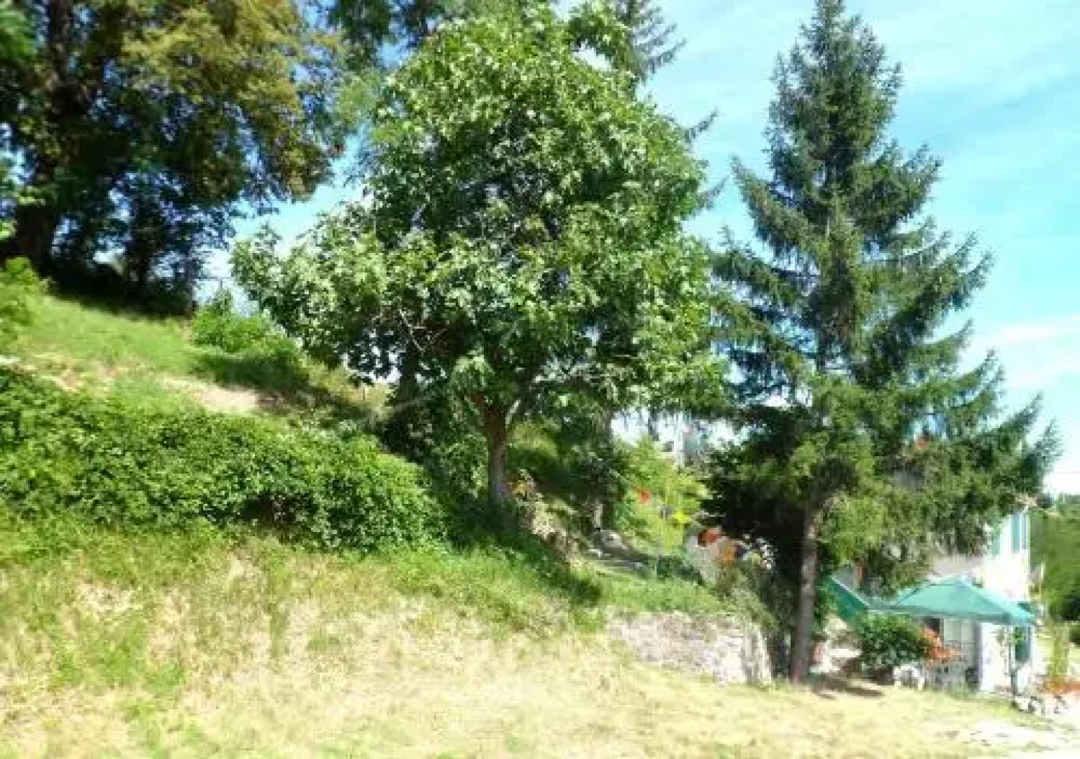 Nicoletta Spirito del Tibet