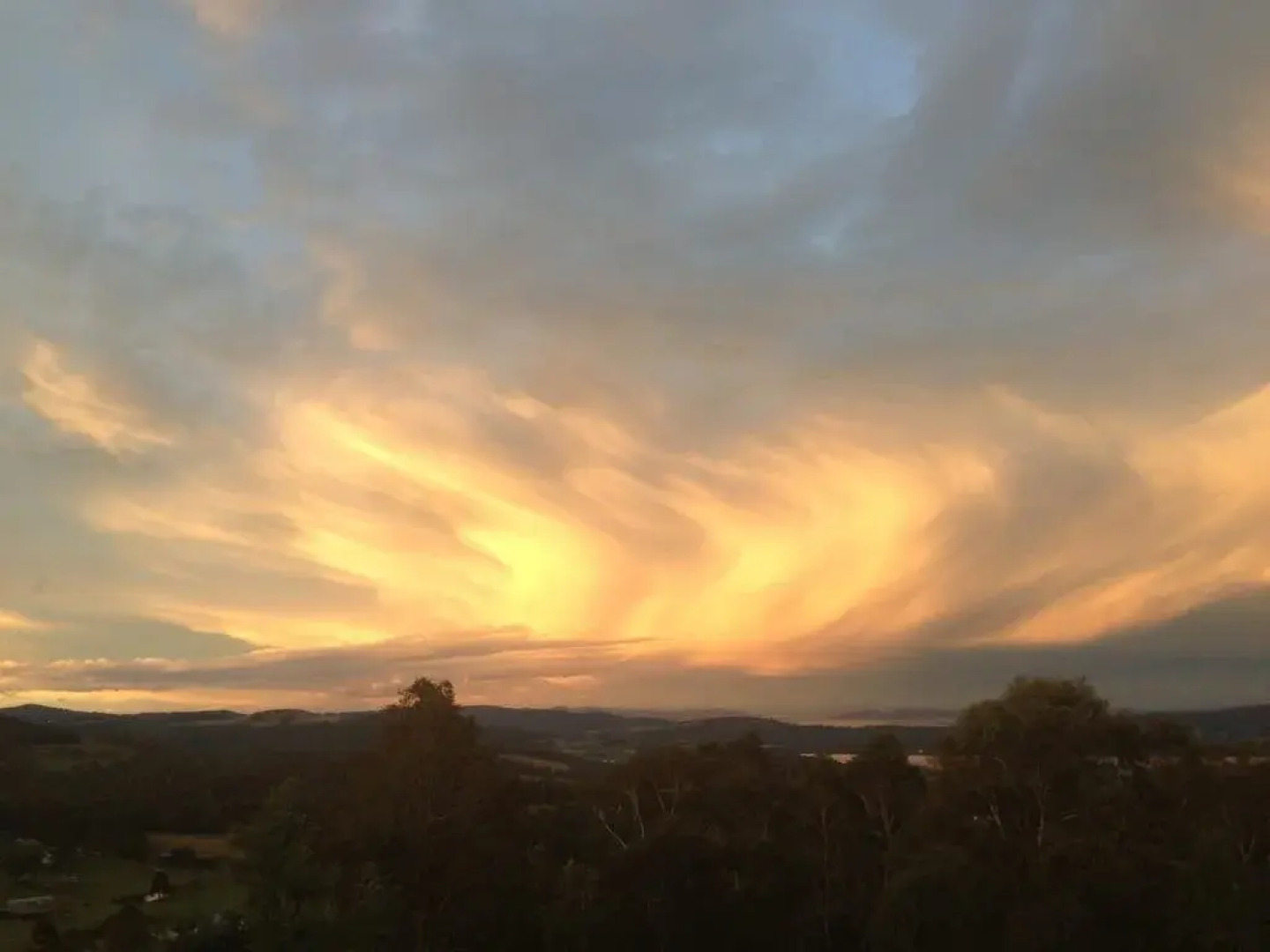 Harmony Harvest Health Retreat