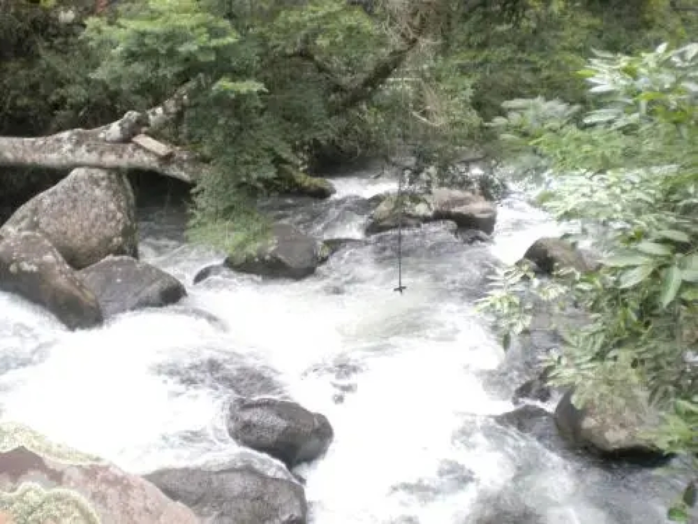 Estância Rio Acima