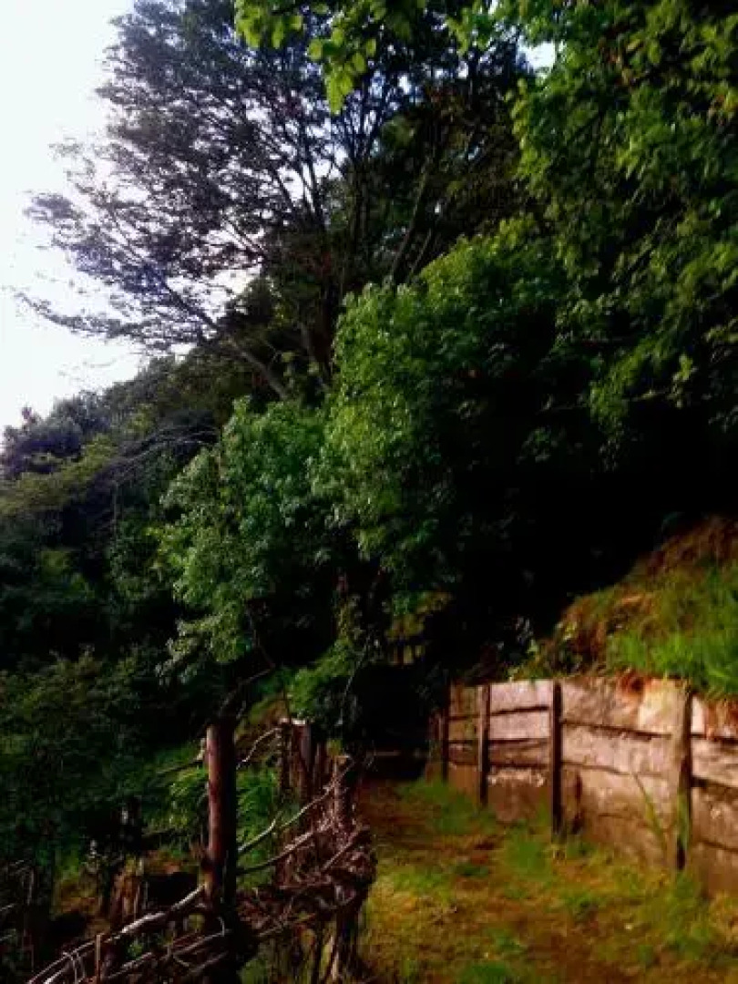 Hostel+Arte Capanegra