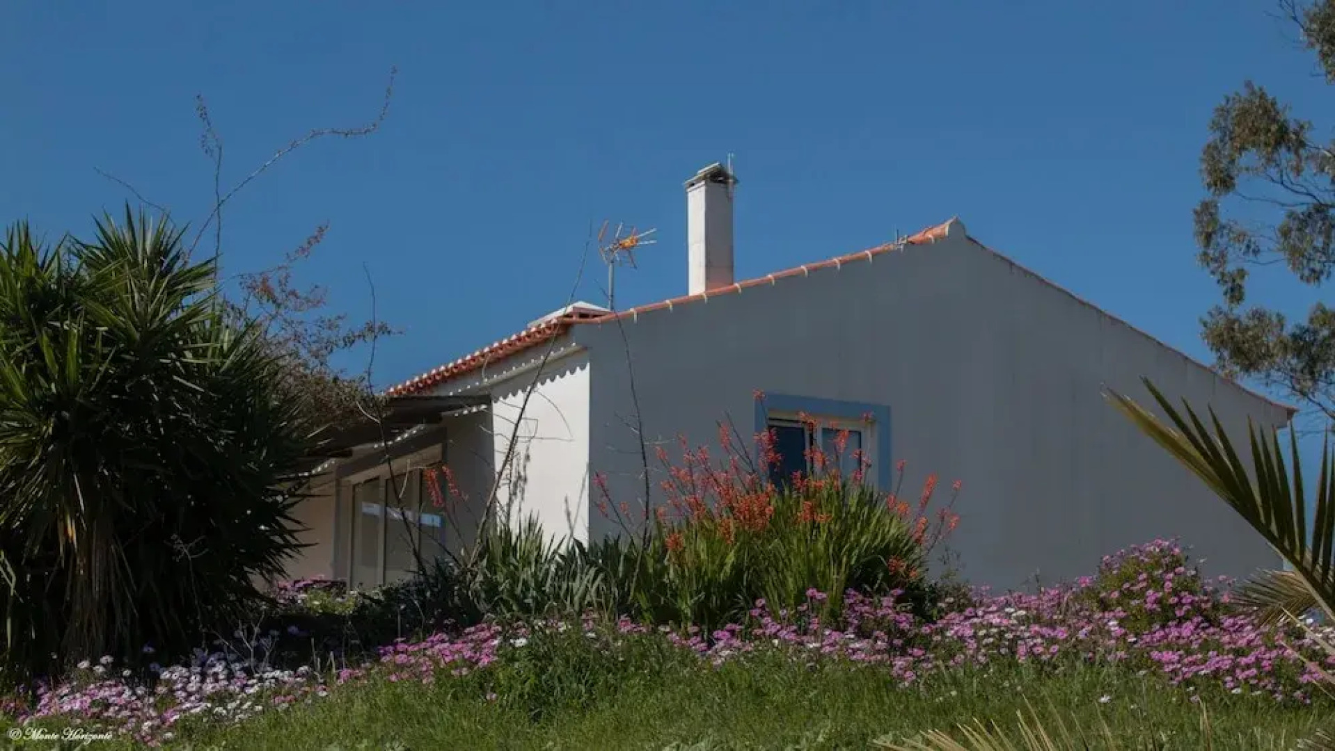 Monte Horizonte (Adults Only)