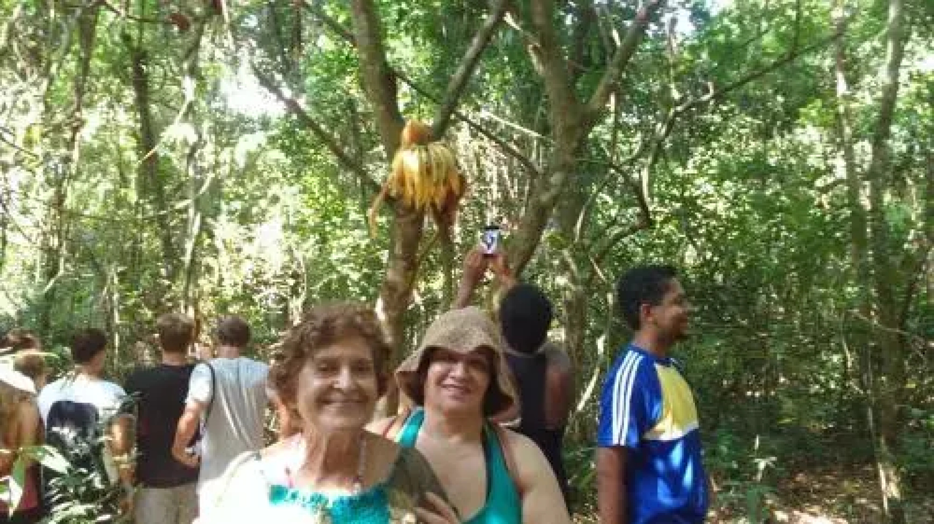 Fazenda Dos Cordeiros