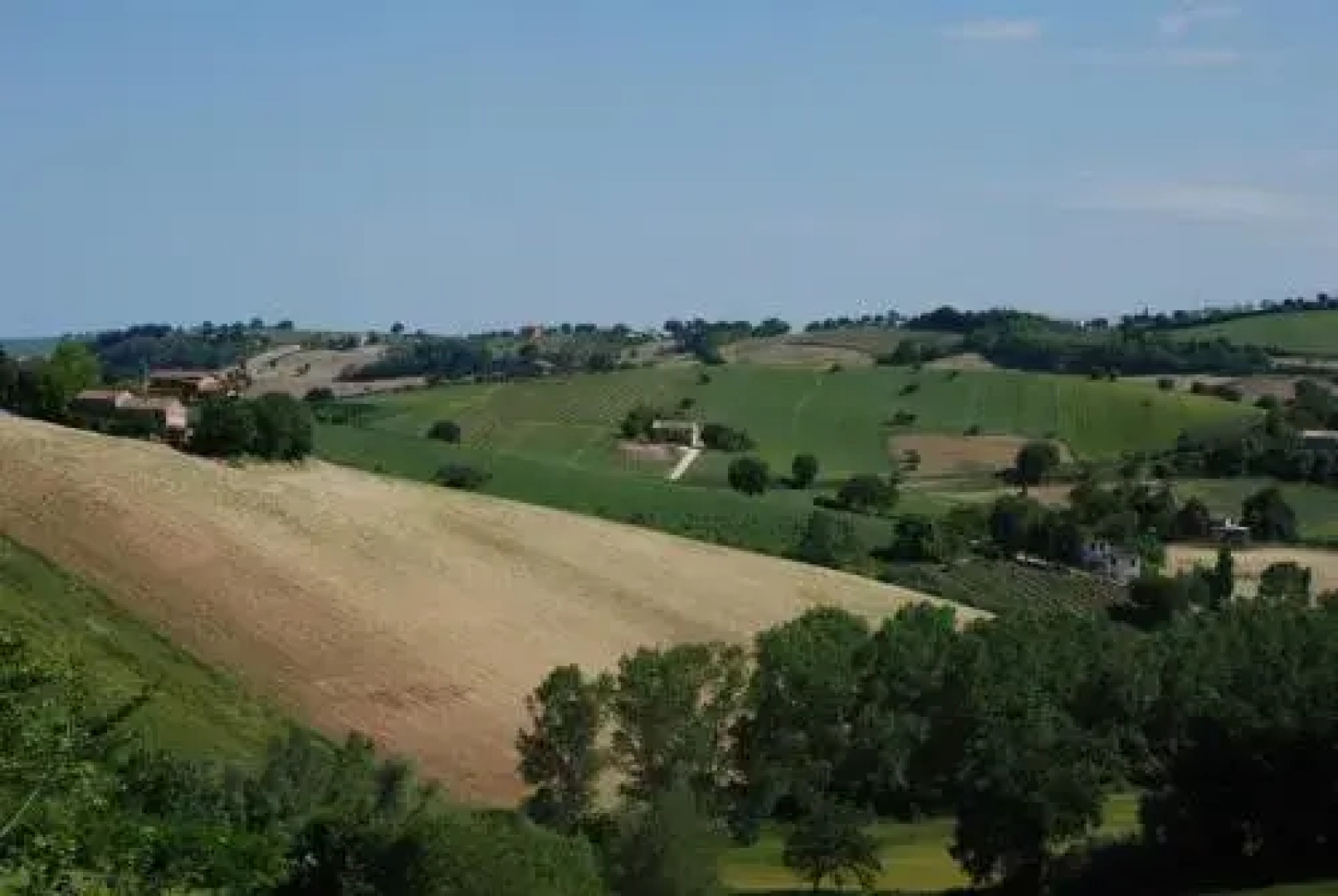 Profumo delle Marche