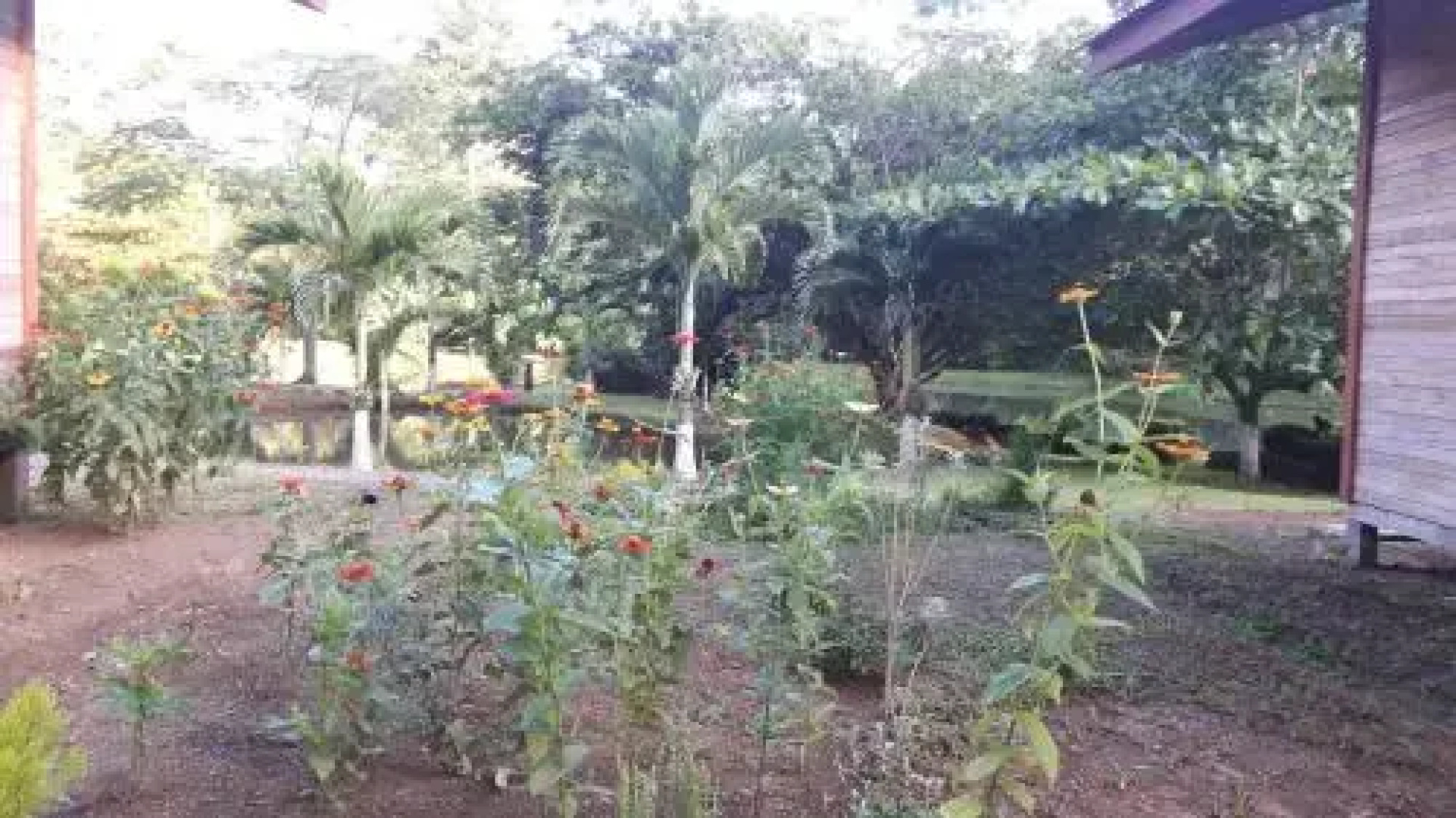Rincon Verde