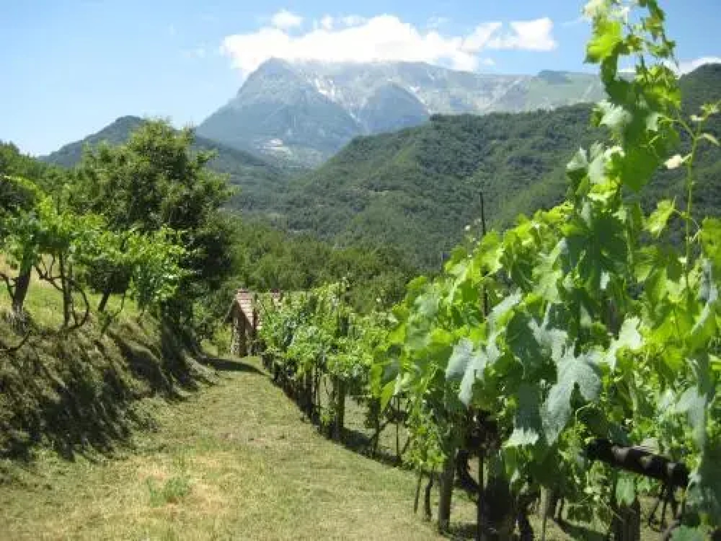 Agriturismo Casavecchia