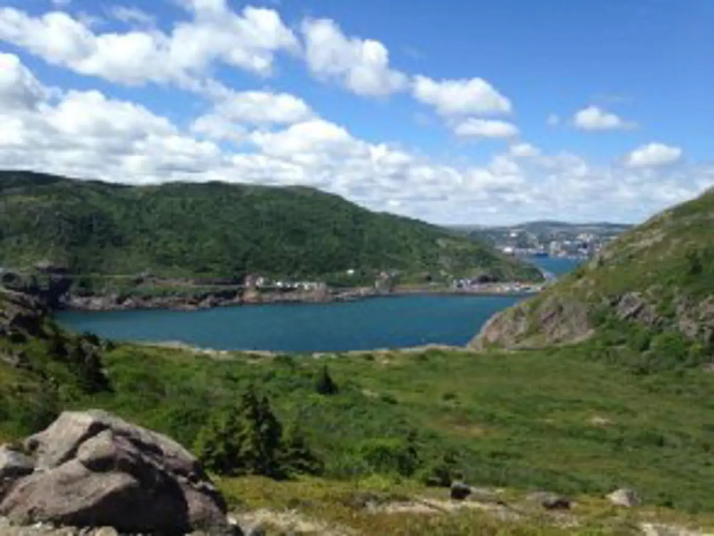 Rice House Vacation Rental