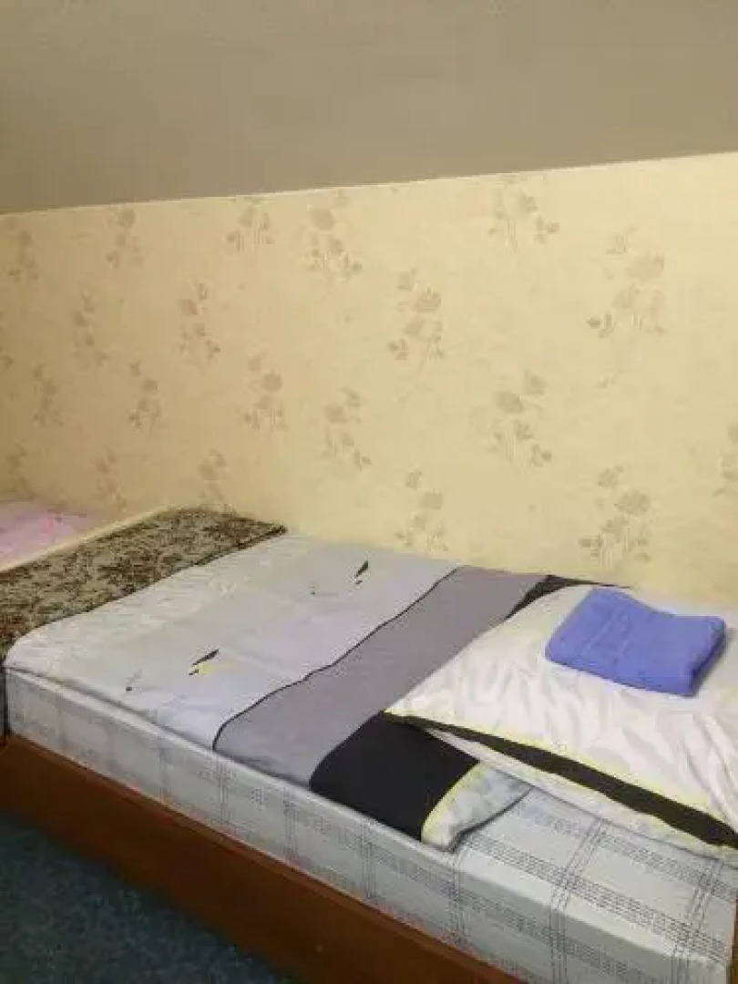 Gostevoy Dom na Brusnichnoy 22