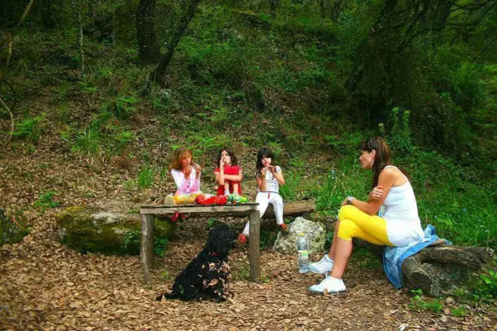 Residencial La Carpia