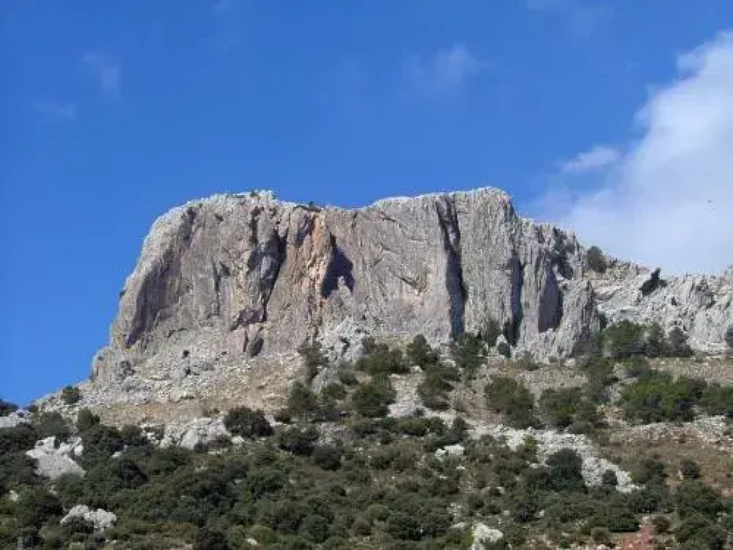 Casa El Olivo