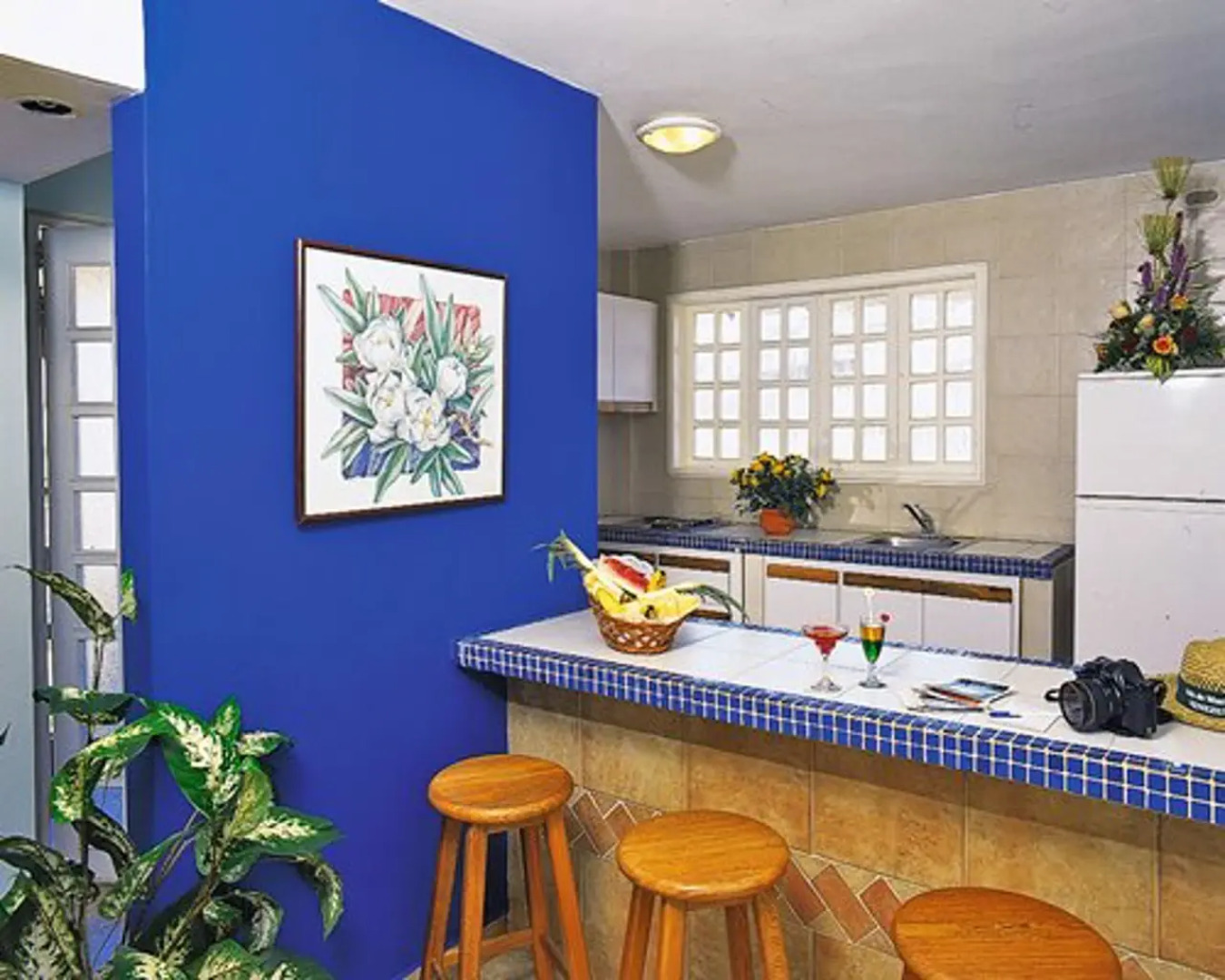 Hippocampus Vacation Club