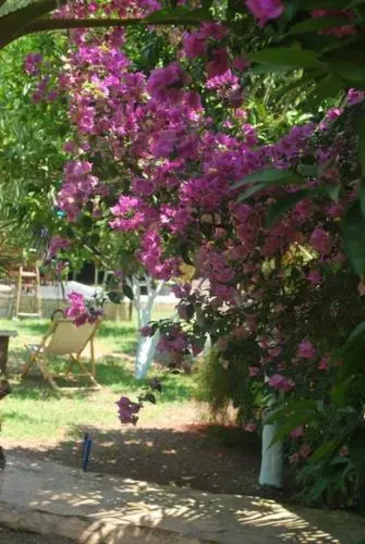 Portalimo Lodge Hotel