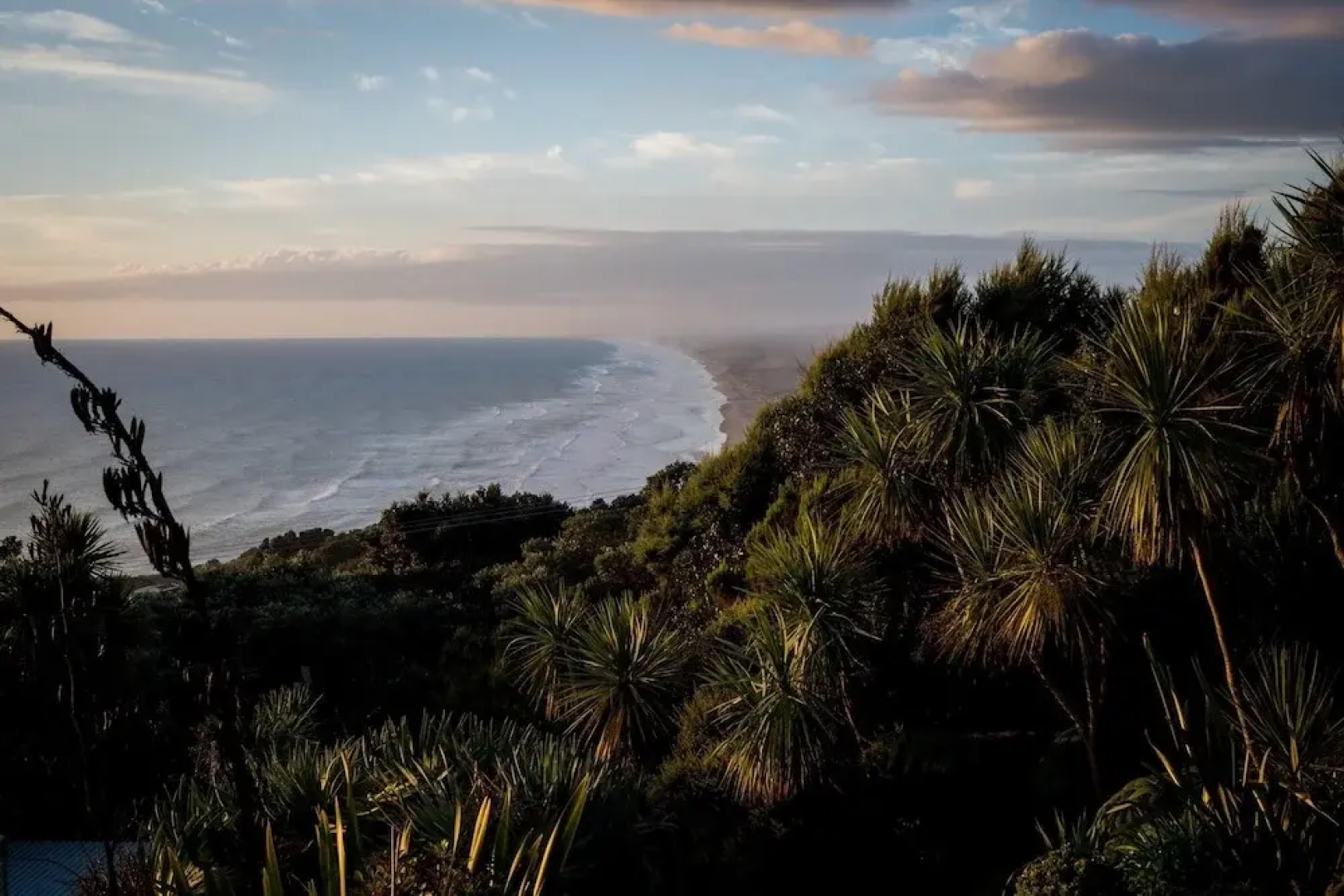 Muriwai Beach Memories