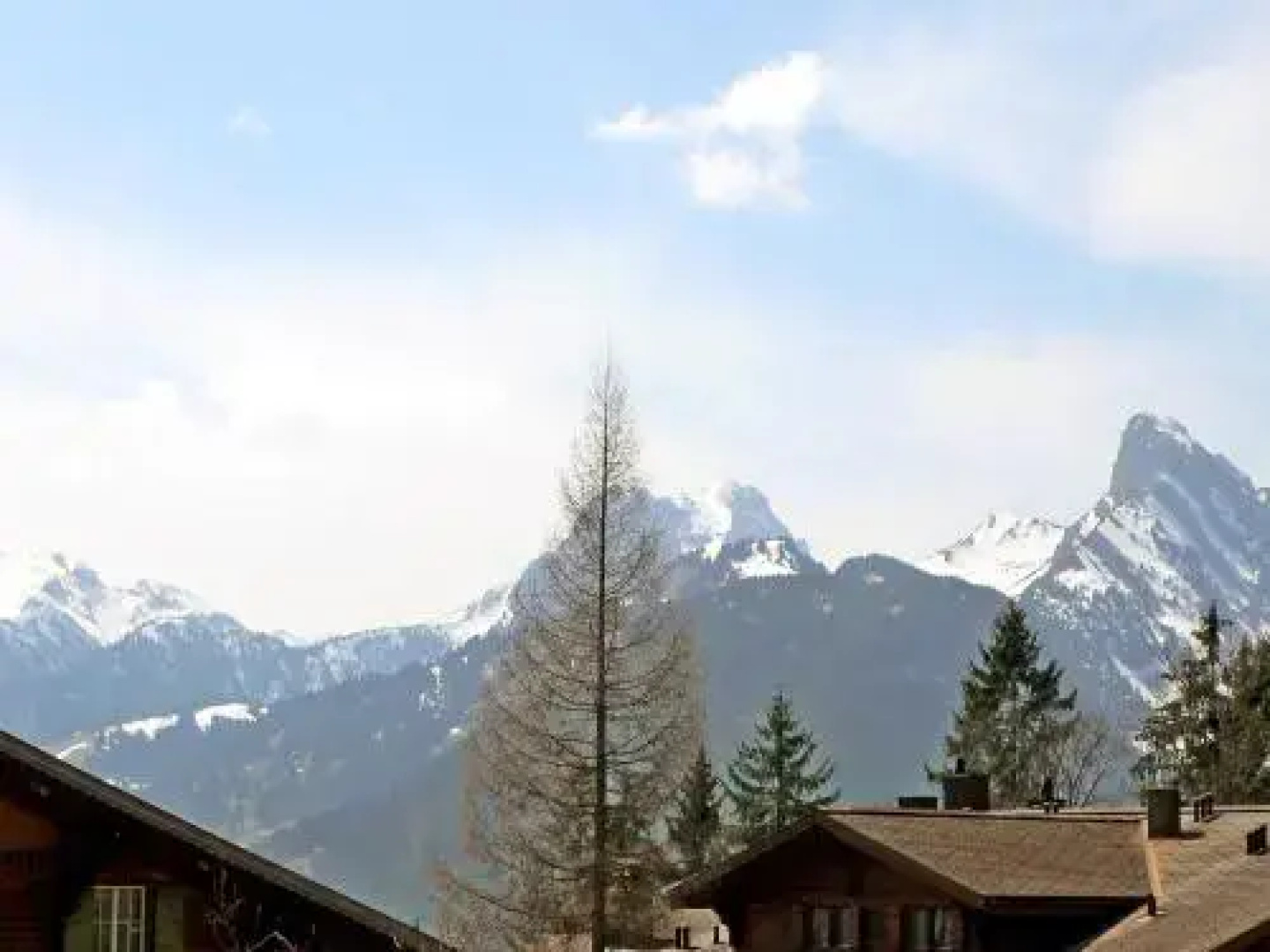 Saanen (utoring) - Inh 25200