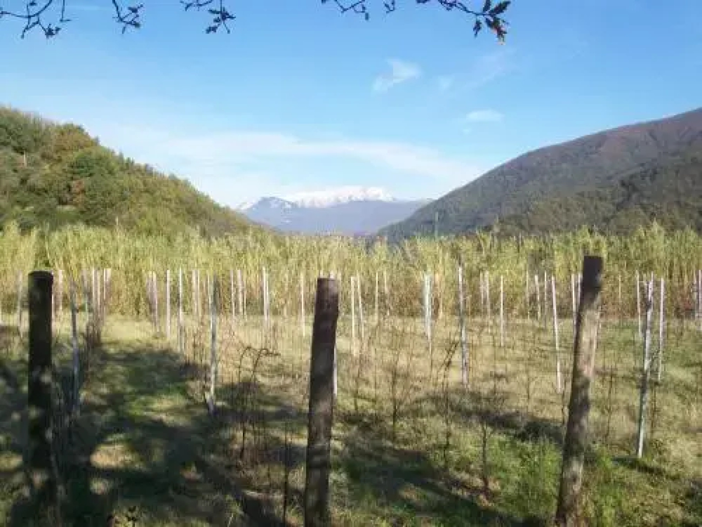 B&B Il Chioso