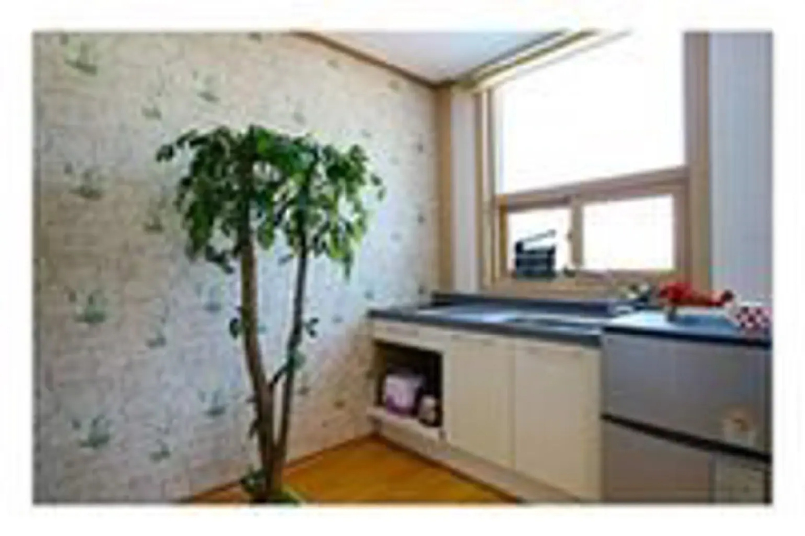 Naeip clover pension