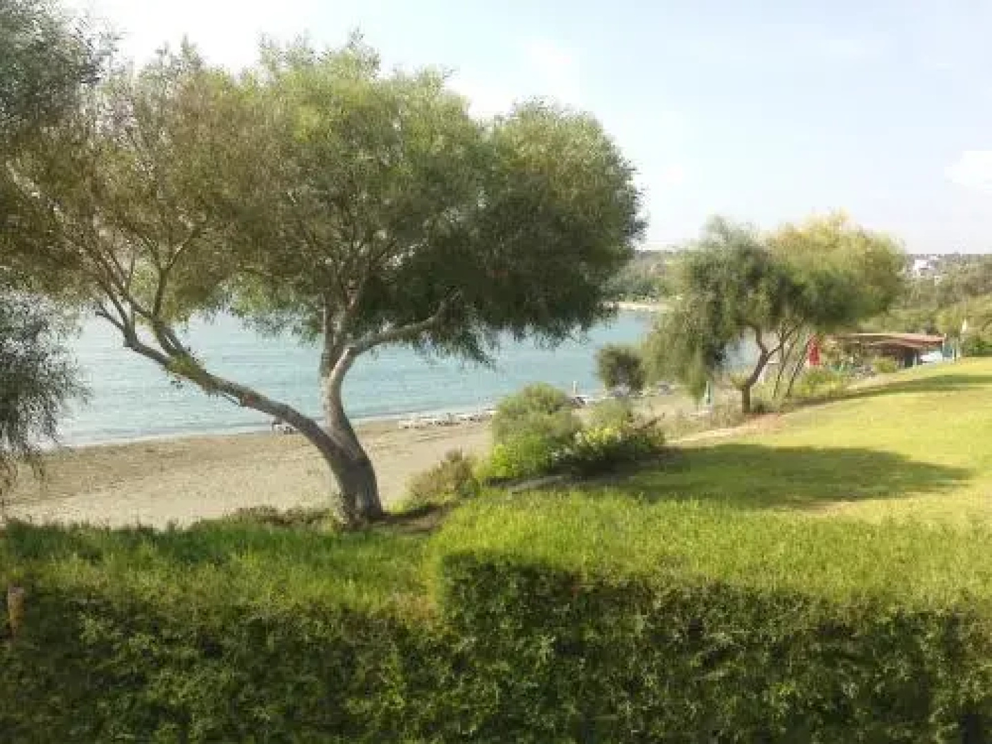 Tonia Beach House