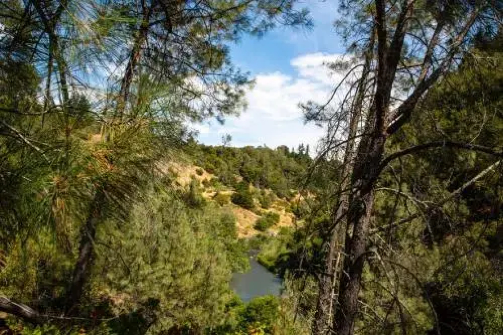 Russian River Camping Resort Cottage 7