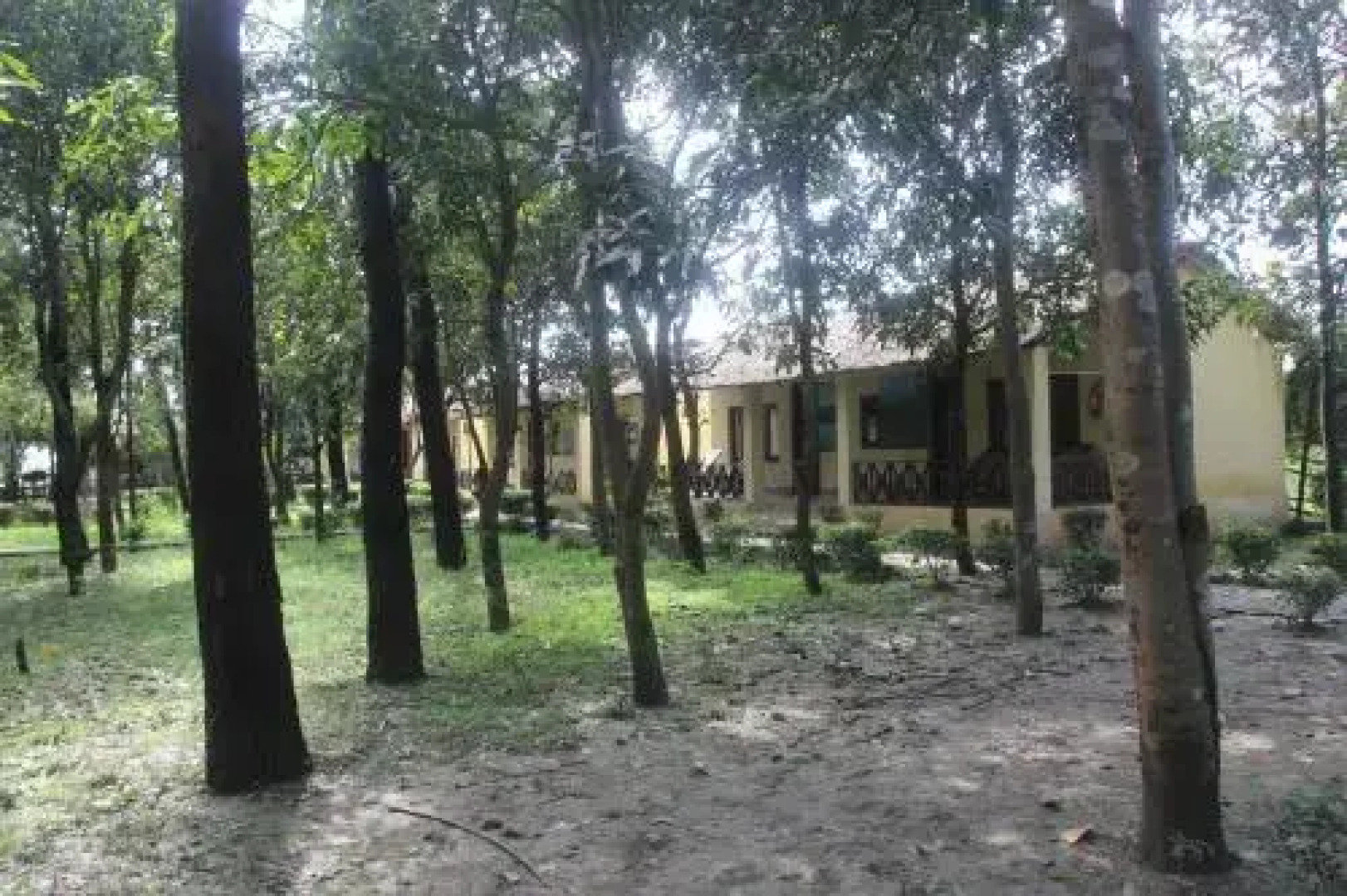 Rhino Lodge Bardia