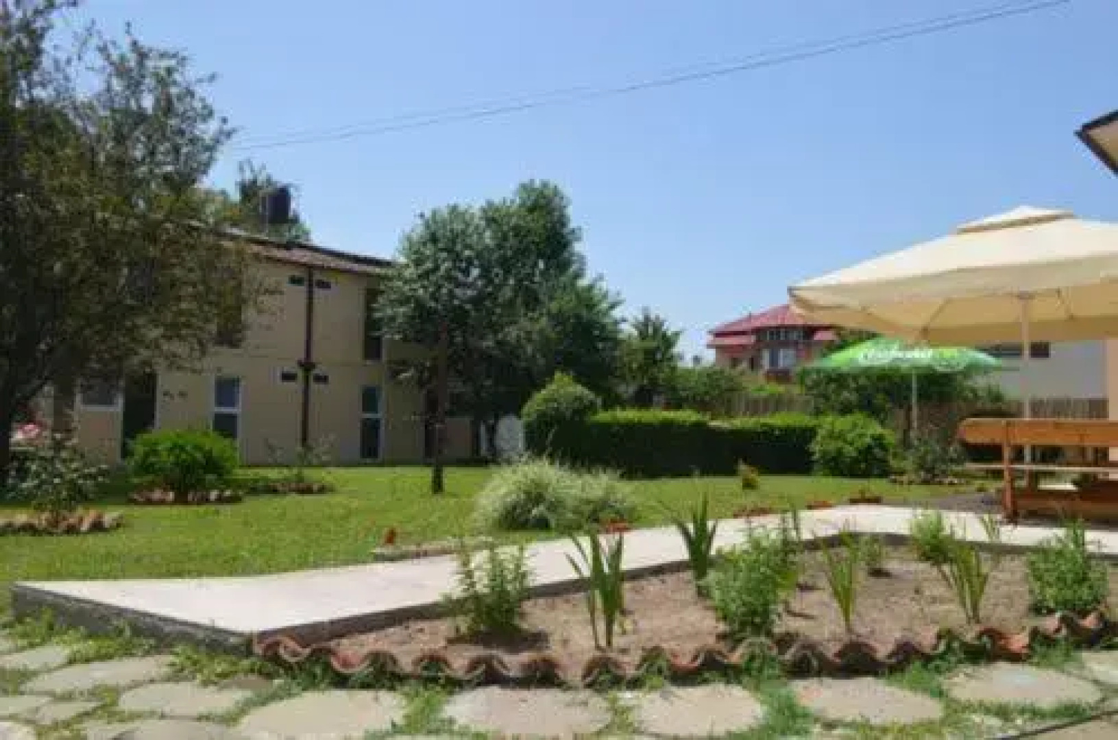 Complex Minerva - Vilele Alina & Aura