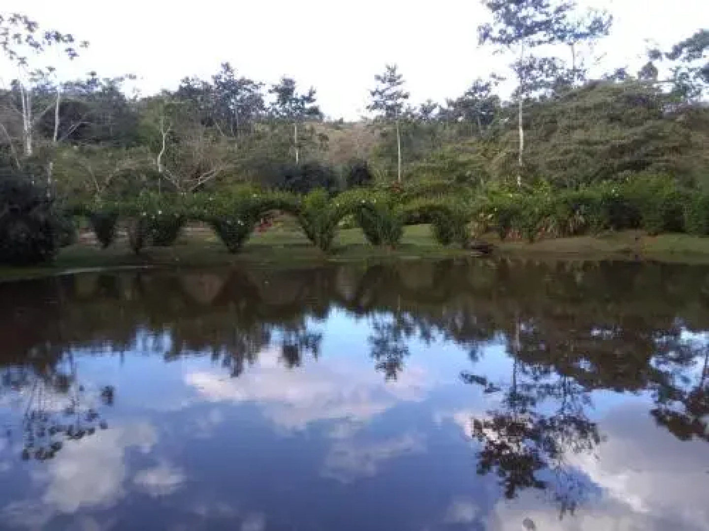 Rincon Verde