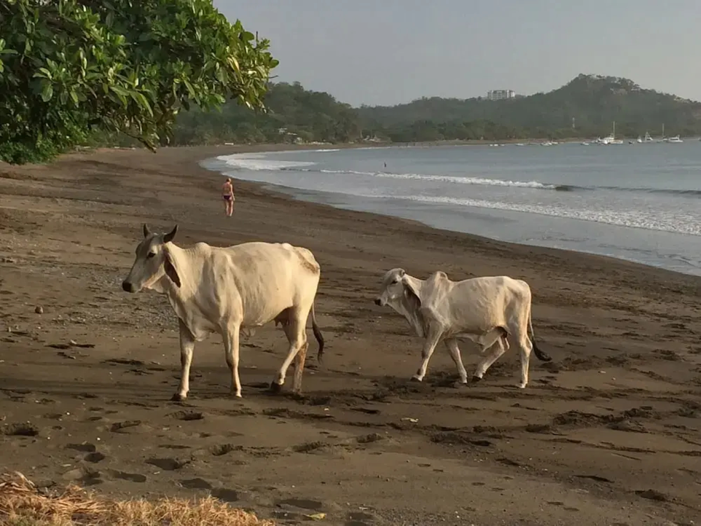 Casa Margarita by RedAwning