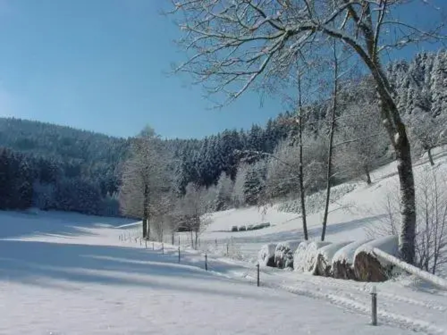 Müllerleile-Hof