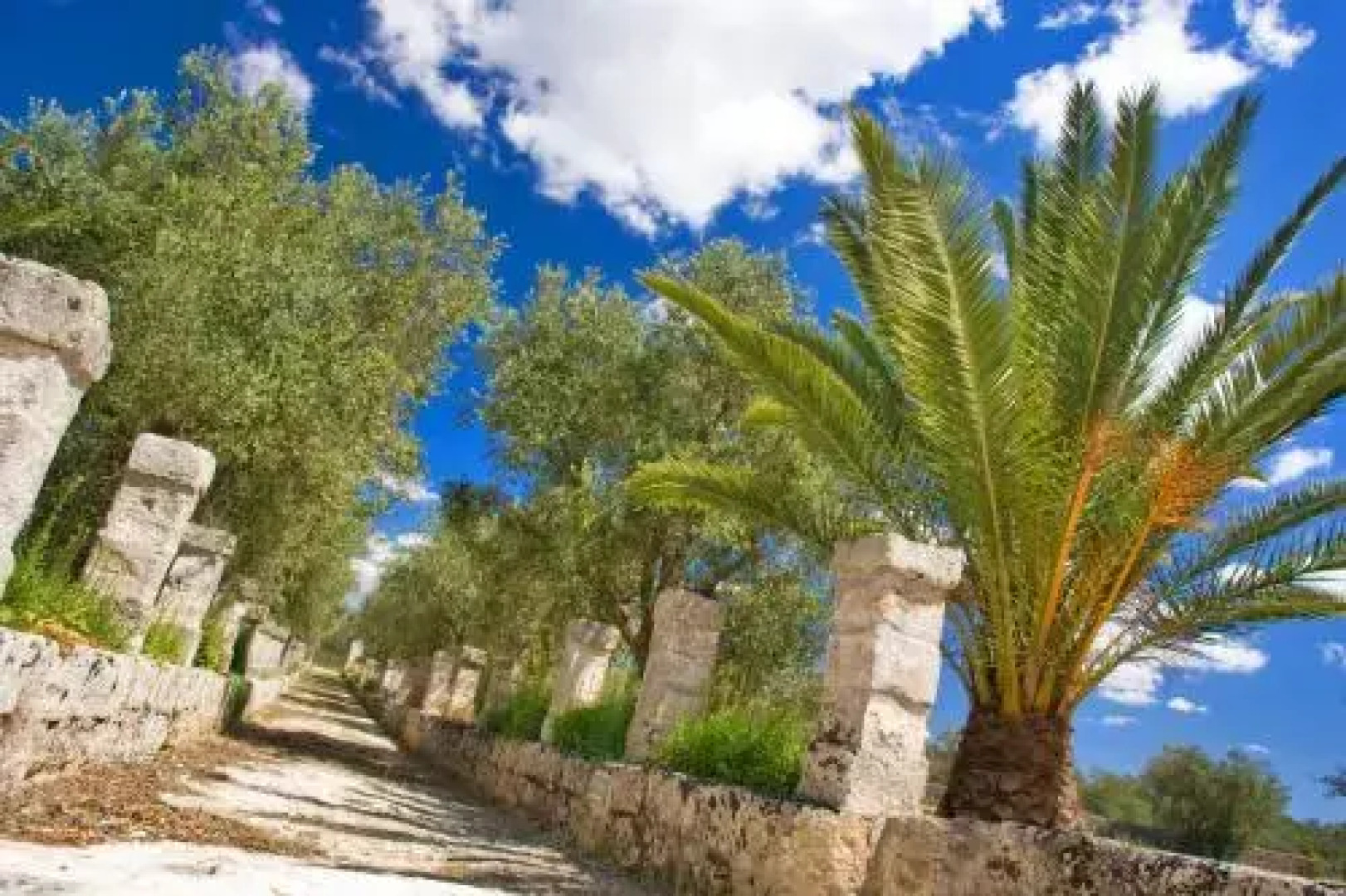 Masseria Marianna