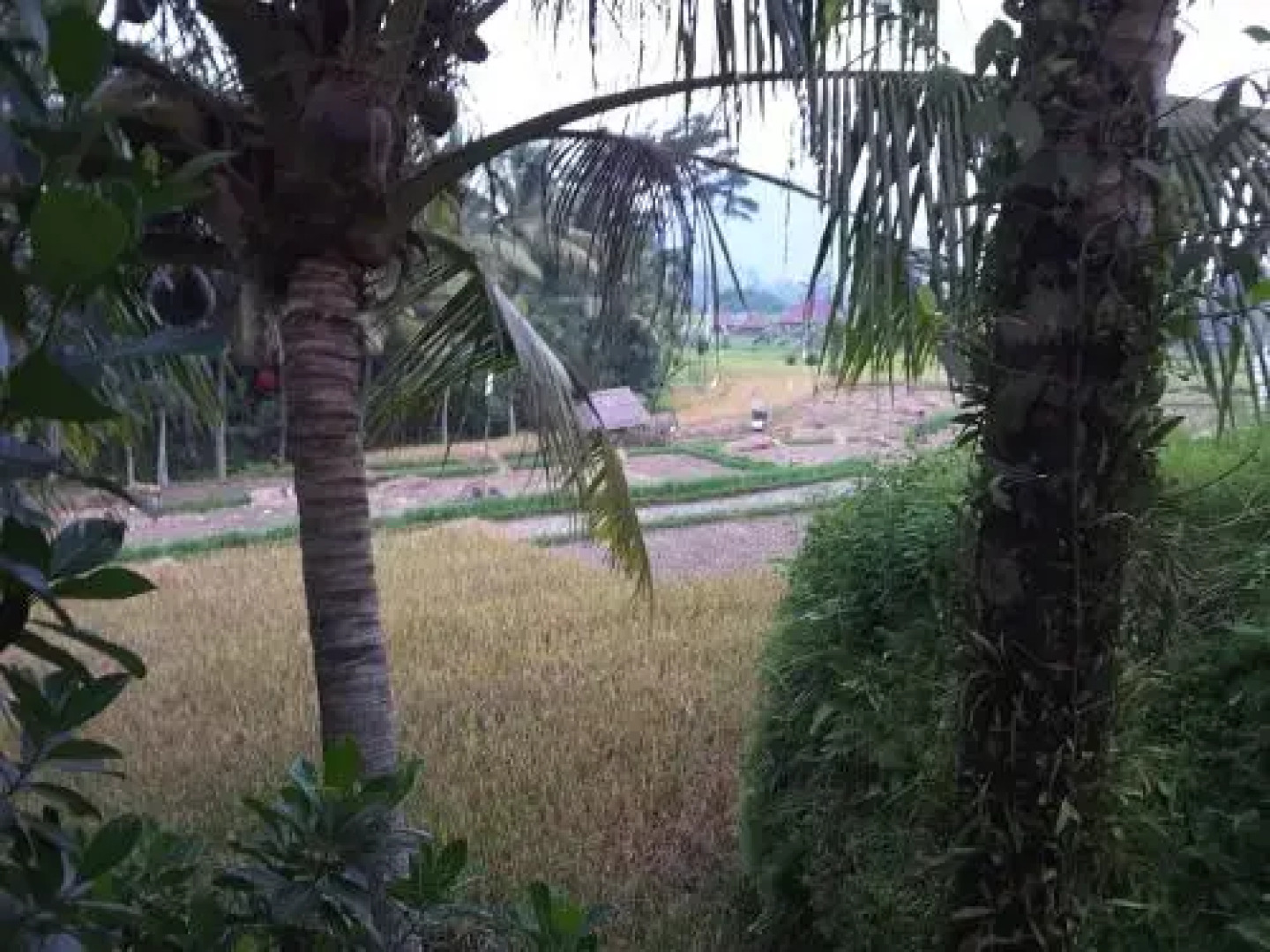 Pondok Damai Sidemen