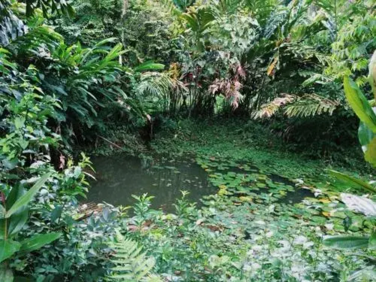 Albergue de Montaña Talari