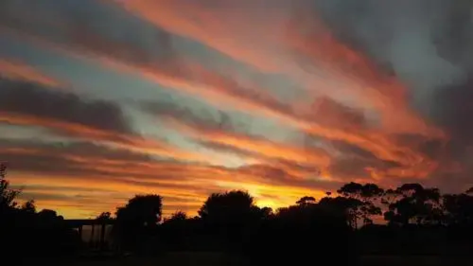 Redgate Forest Retreat