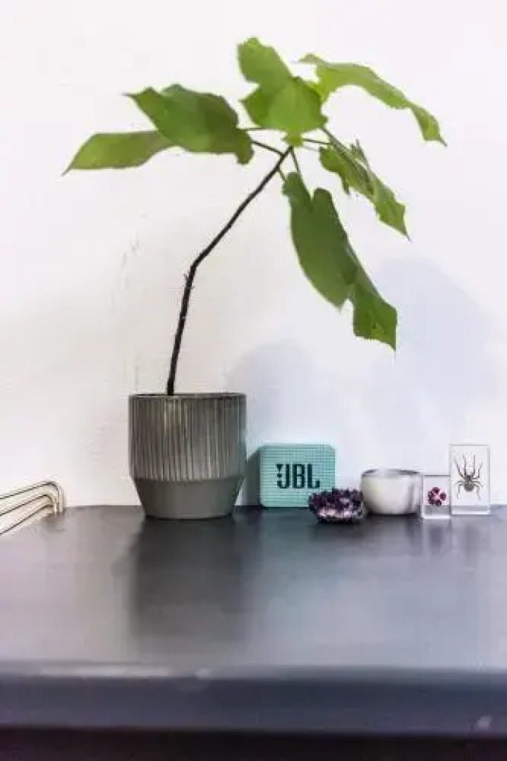 The One Roomed Guesthouse