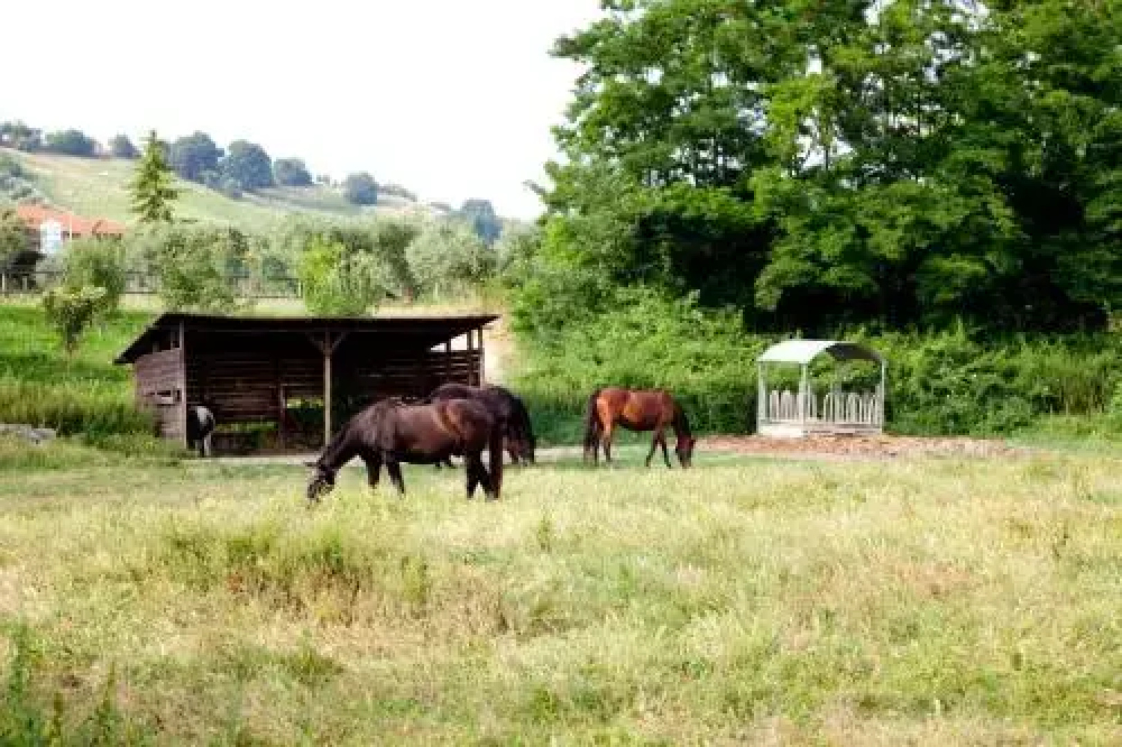 Agriturismo Villa Irelli
