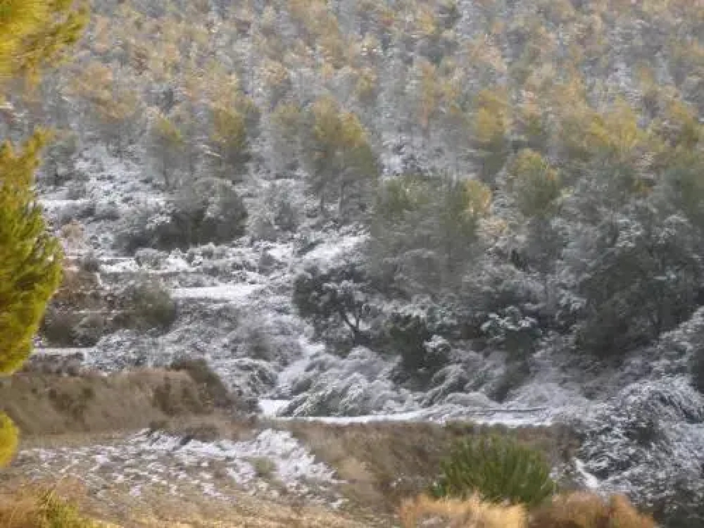 Casa Rural Masía Barbera