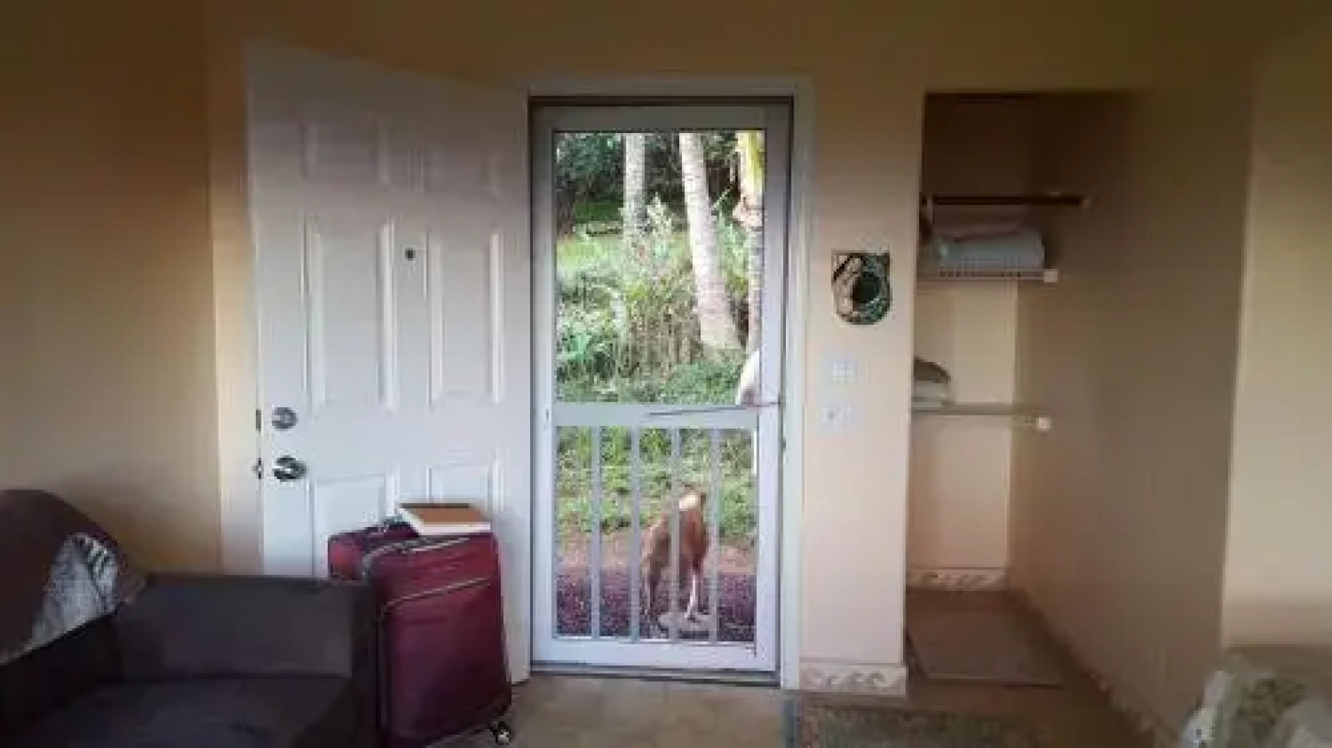 Aloha Cottage