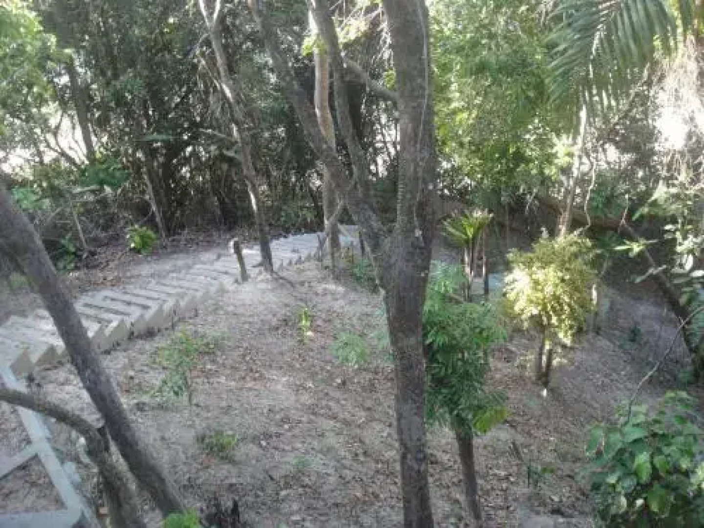 Casa Shuhari