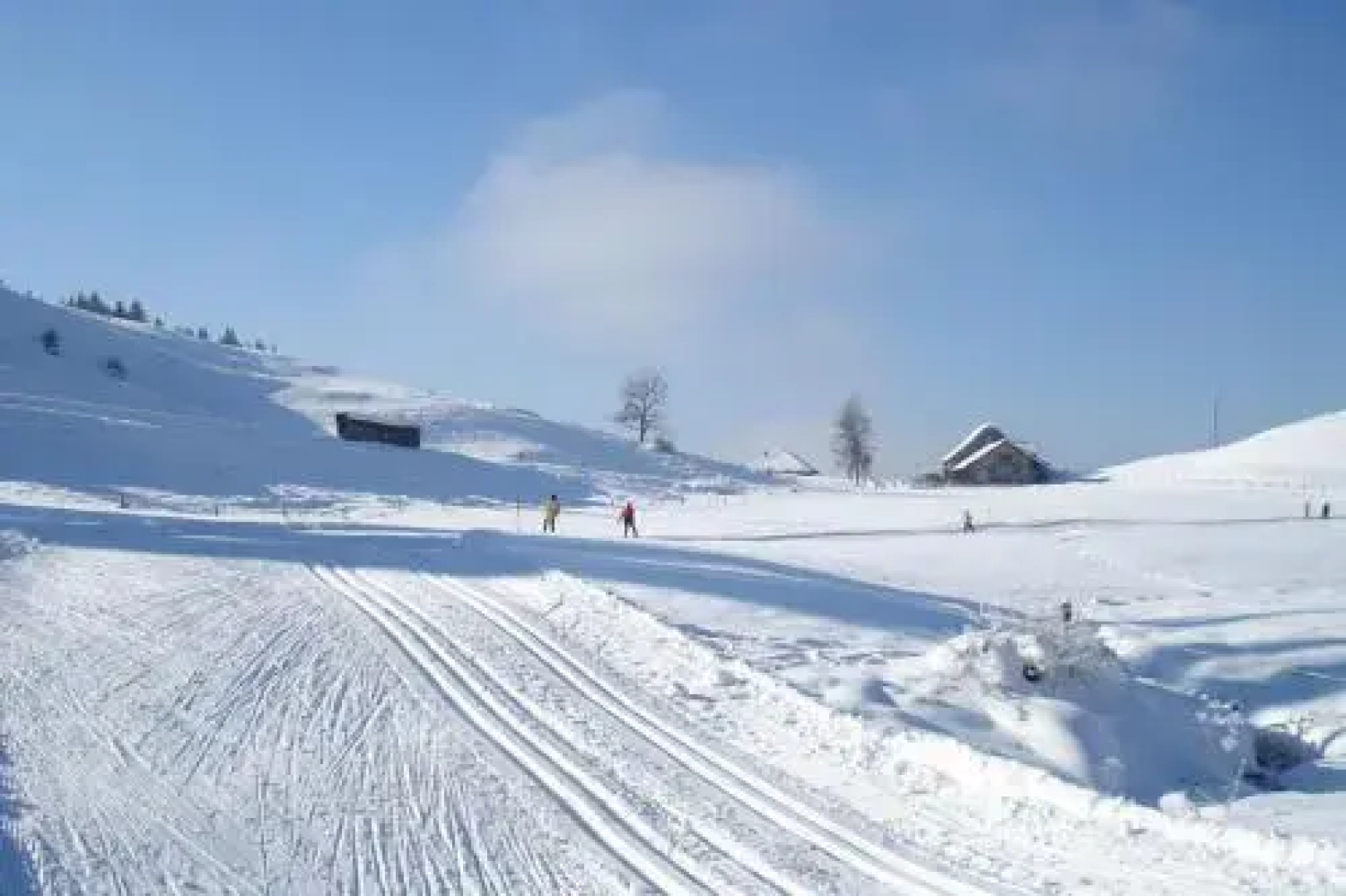 Chalet Murmeli