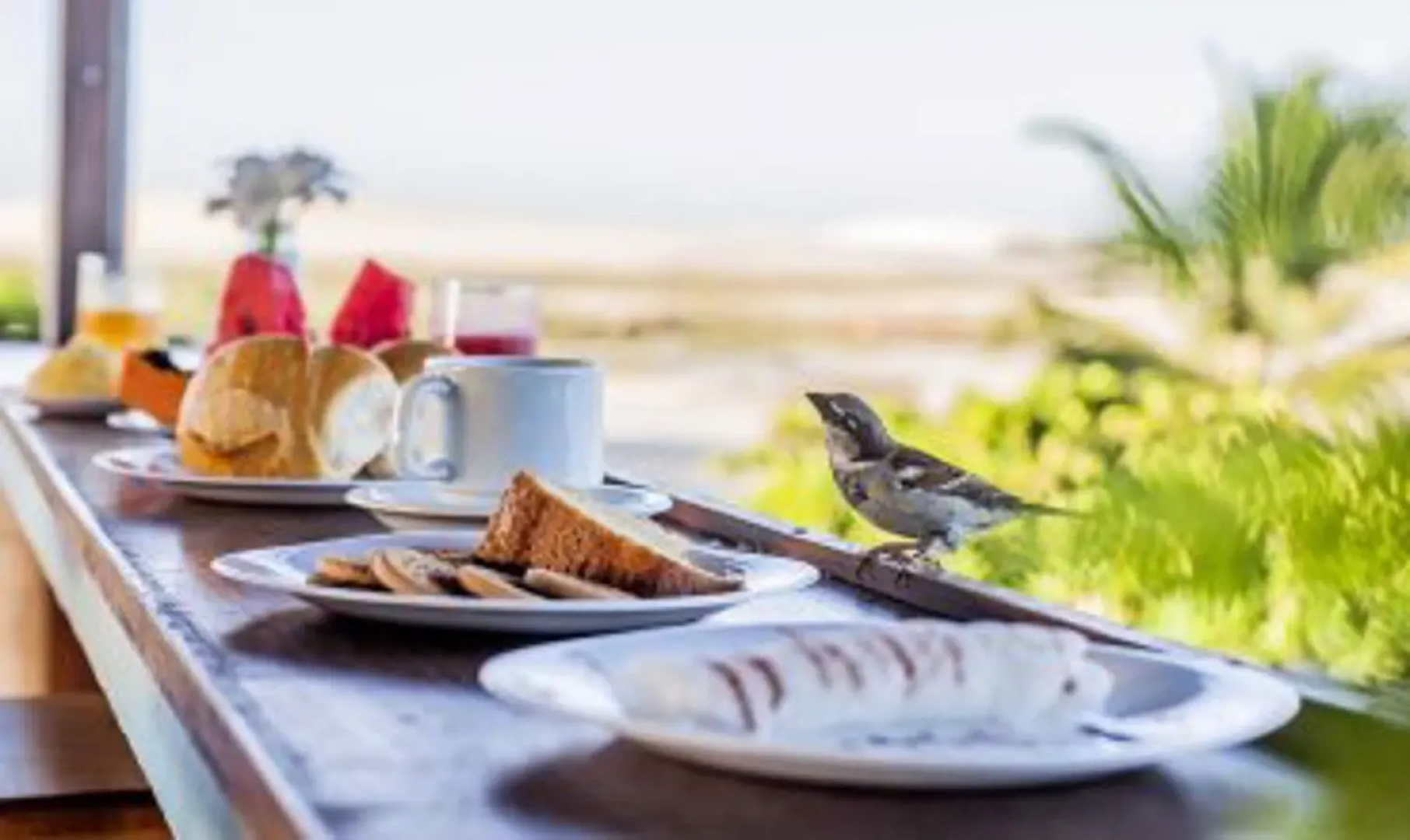 Vila Gallina Pousada