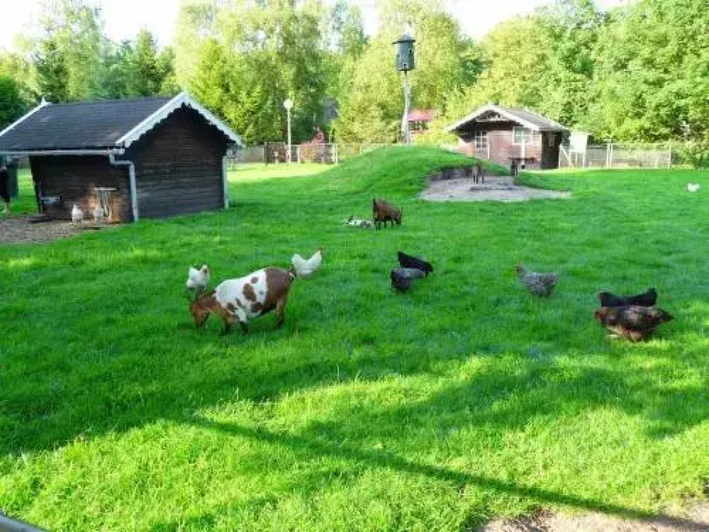 Vakantiepark Bosmeer