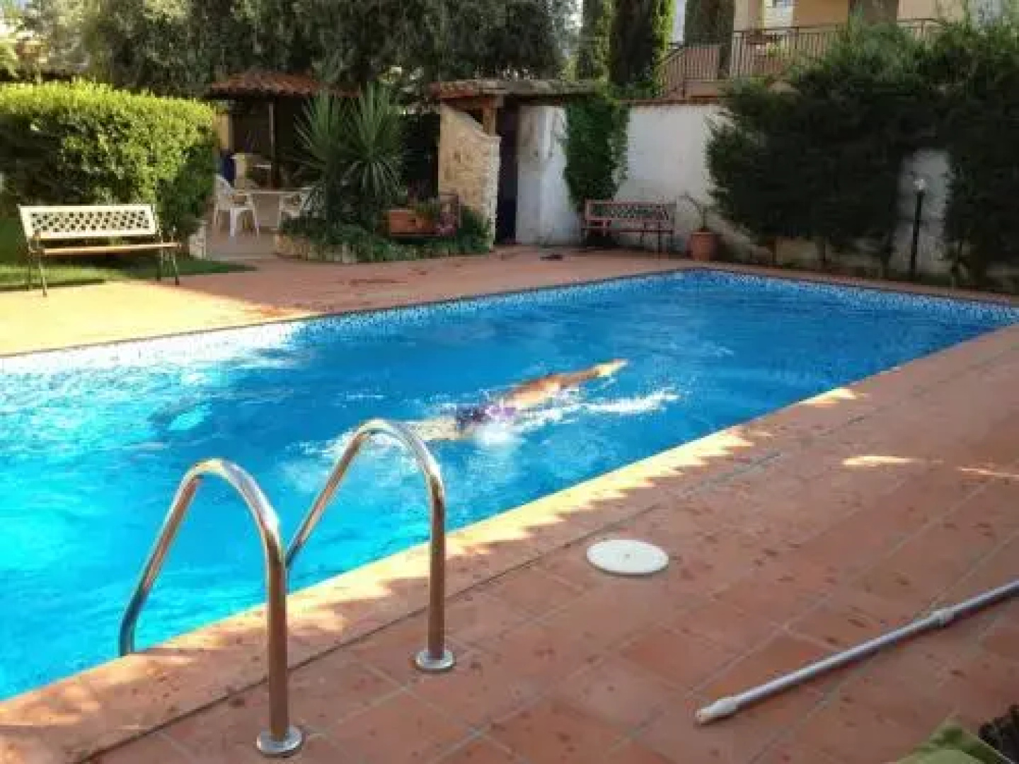 Appartamento in Villa a 200 Metri dal Mare