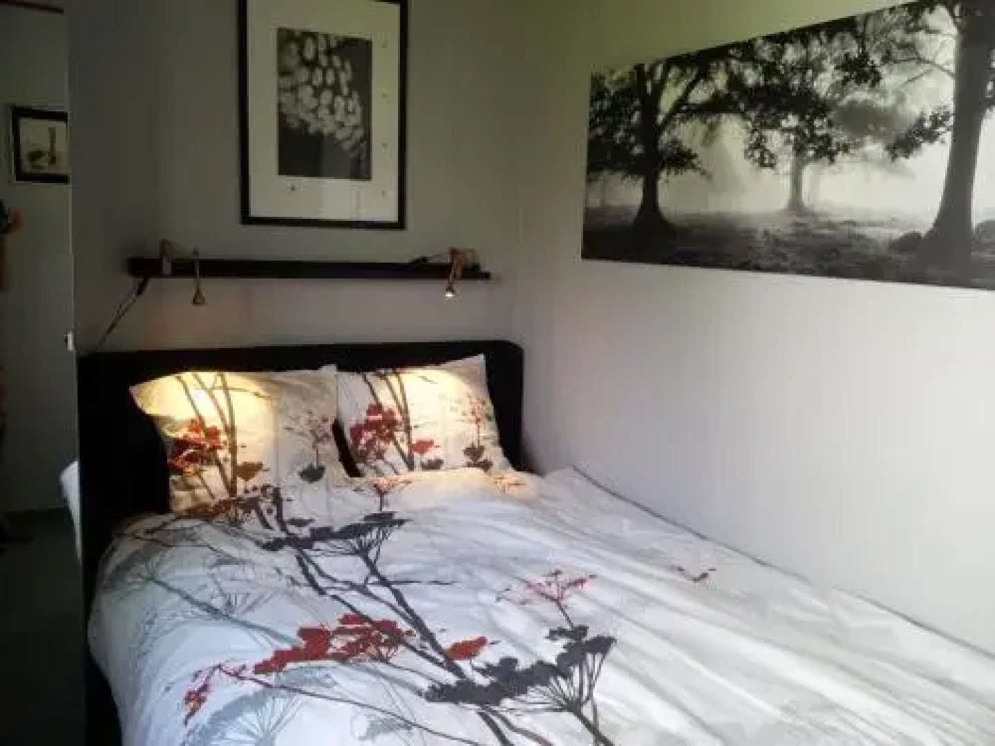 Casa Elise
