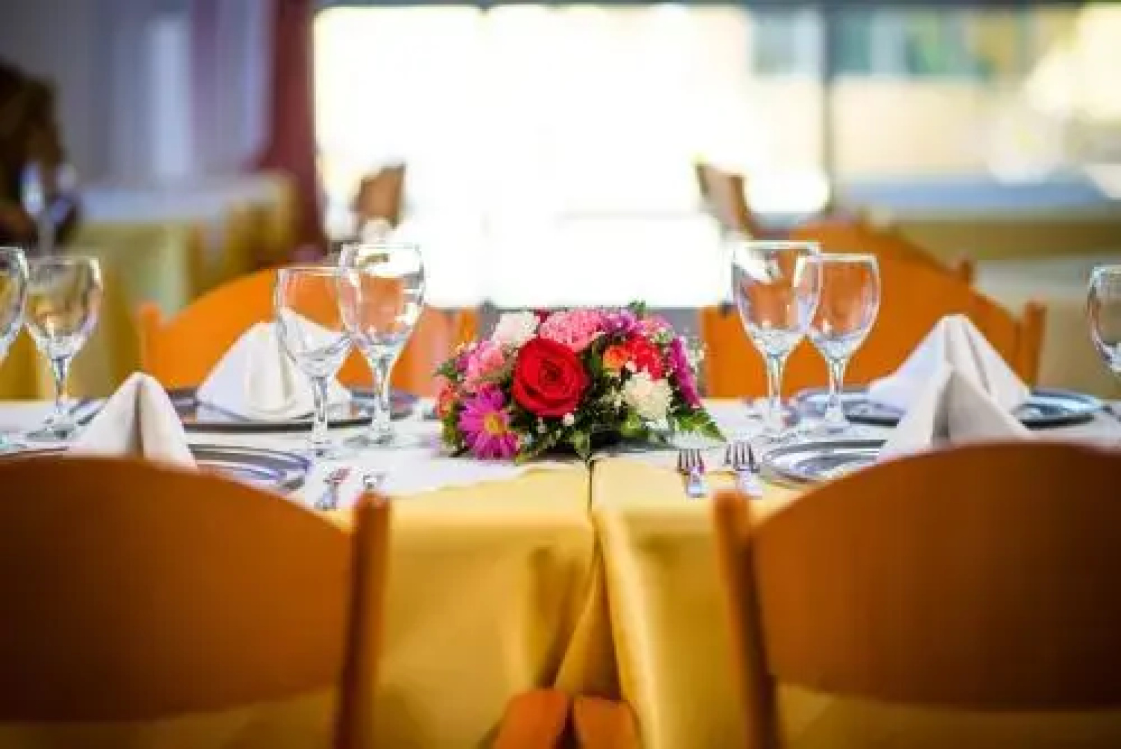 Hotel Campo Alegre