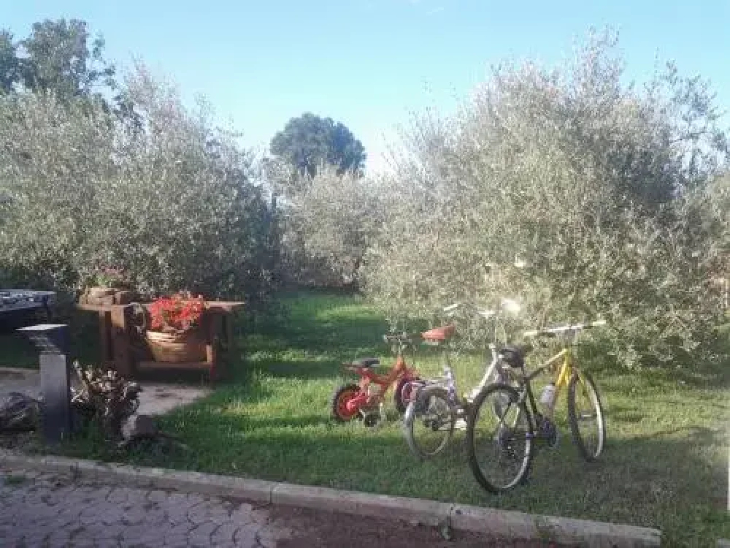 Il Giardino di Mavi