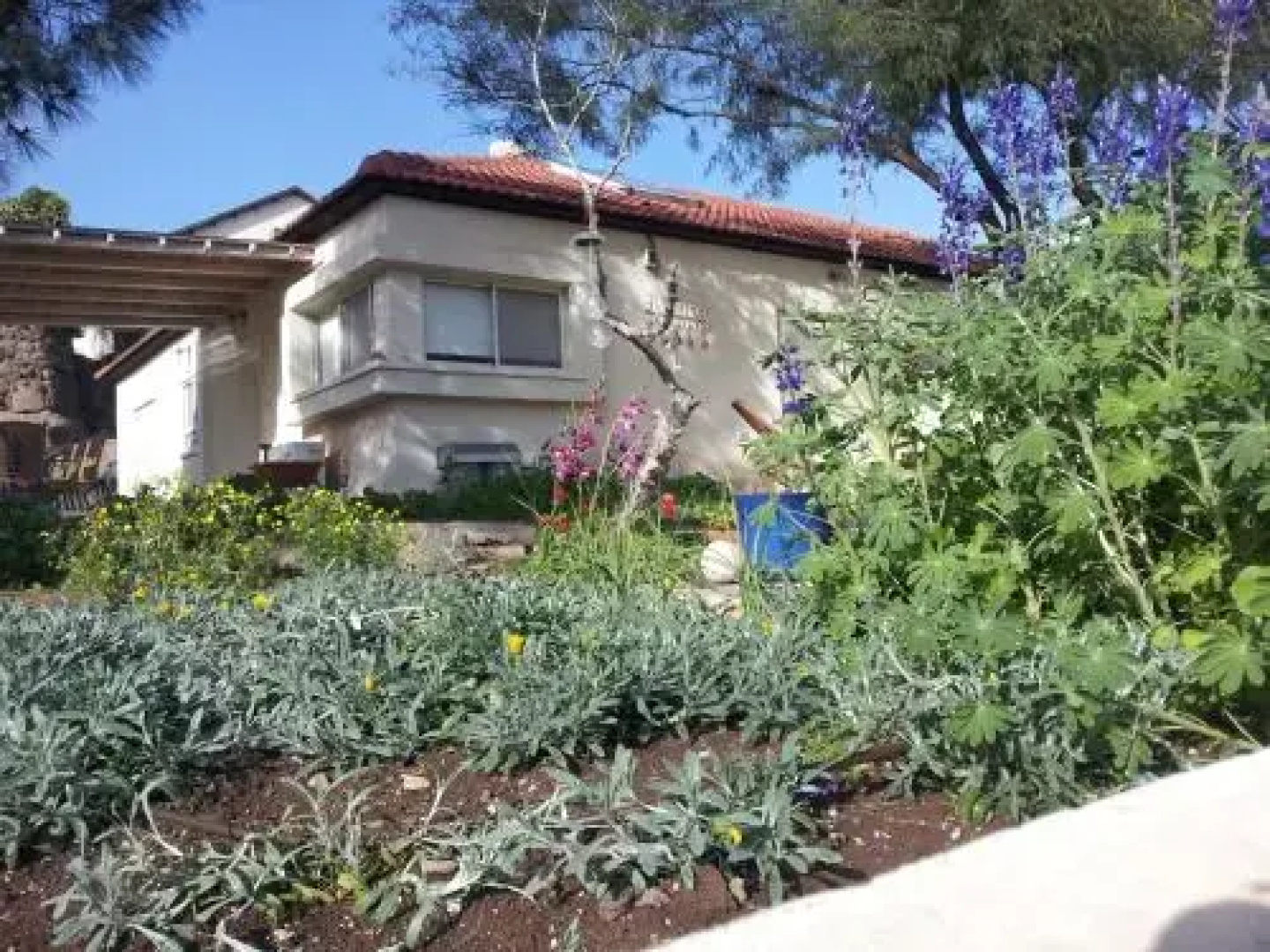Lovely home above the Kinneret