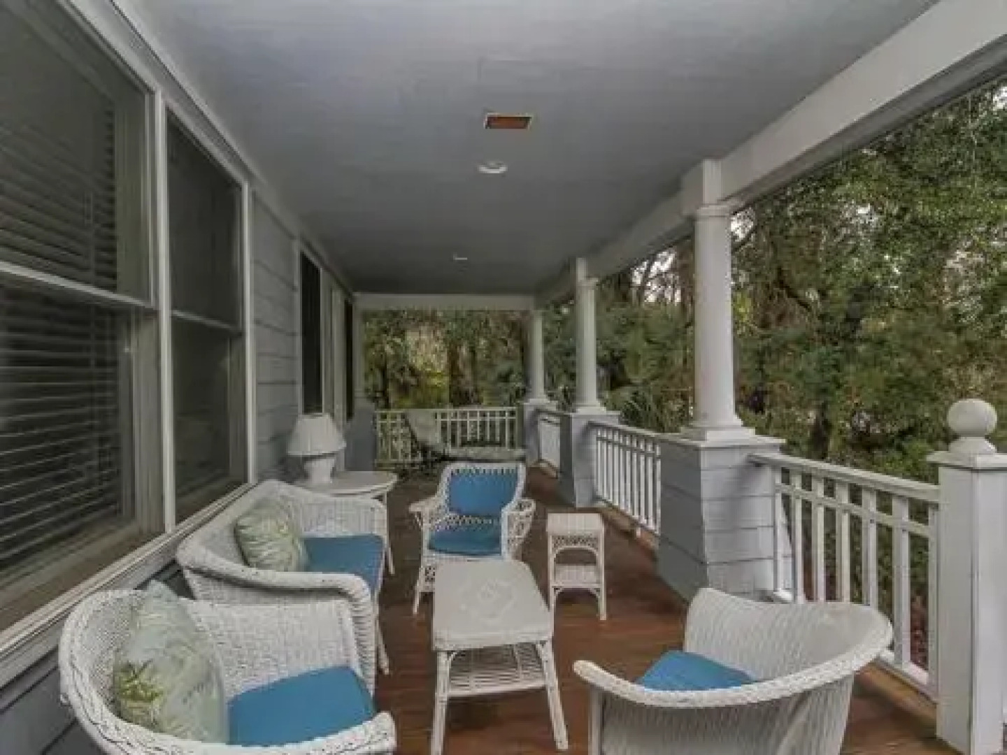 Glossy Ibis 768 by RedAwning