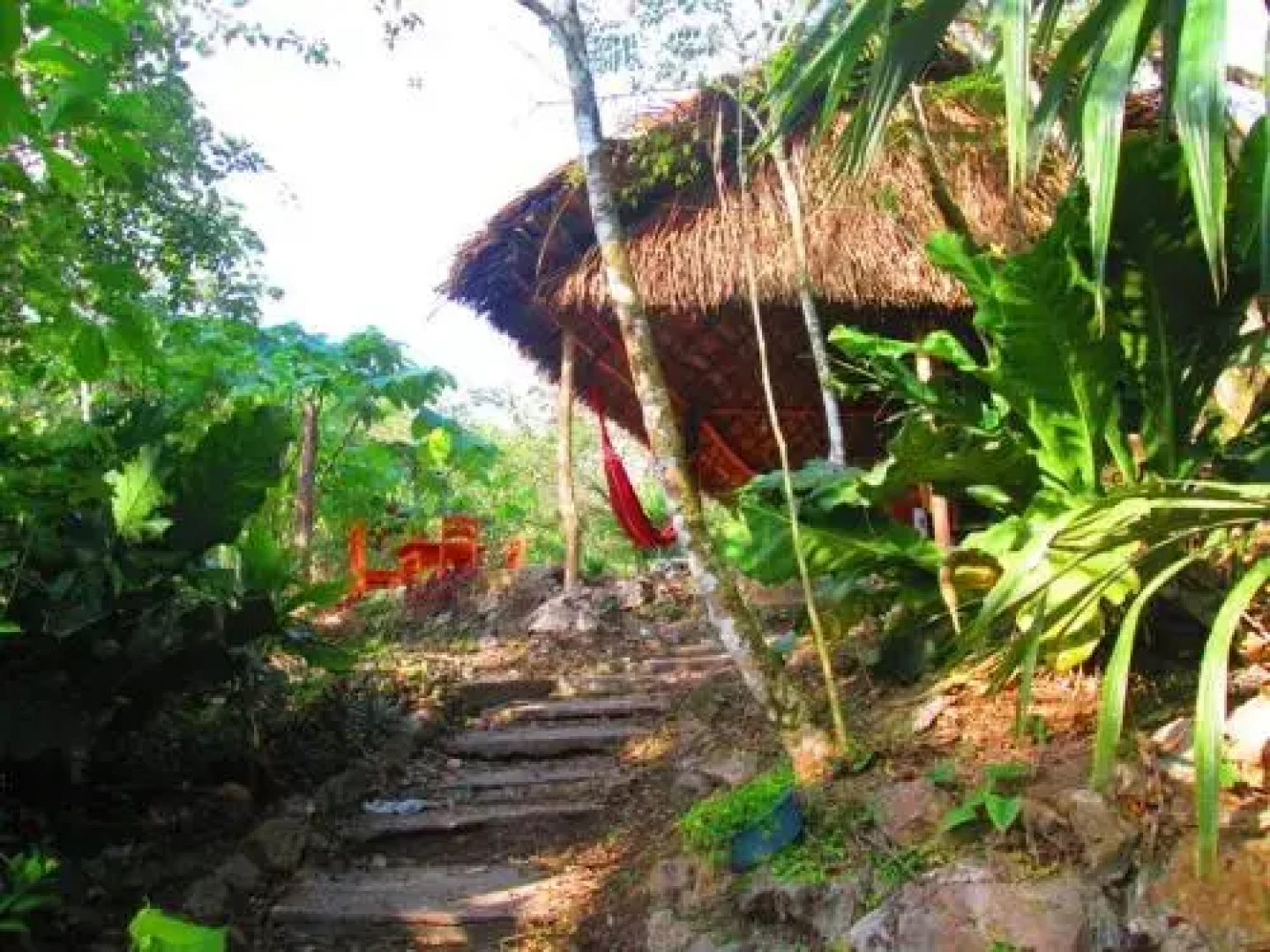 Chaya Maya Jungle Lodge