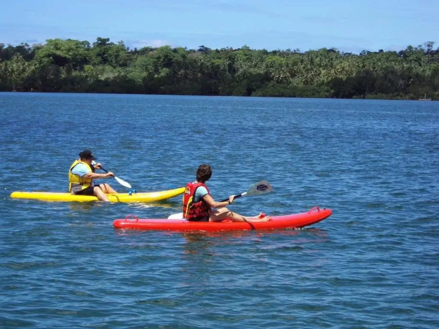 Starfish Cove