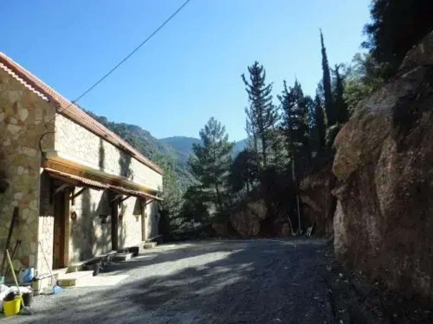 Royal Oneiro