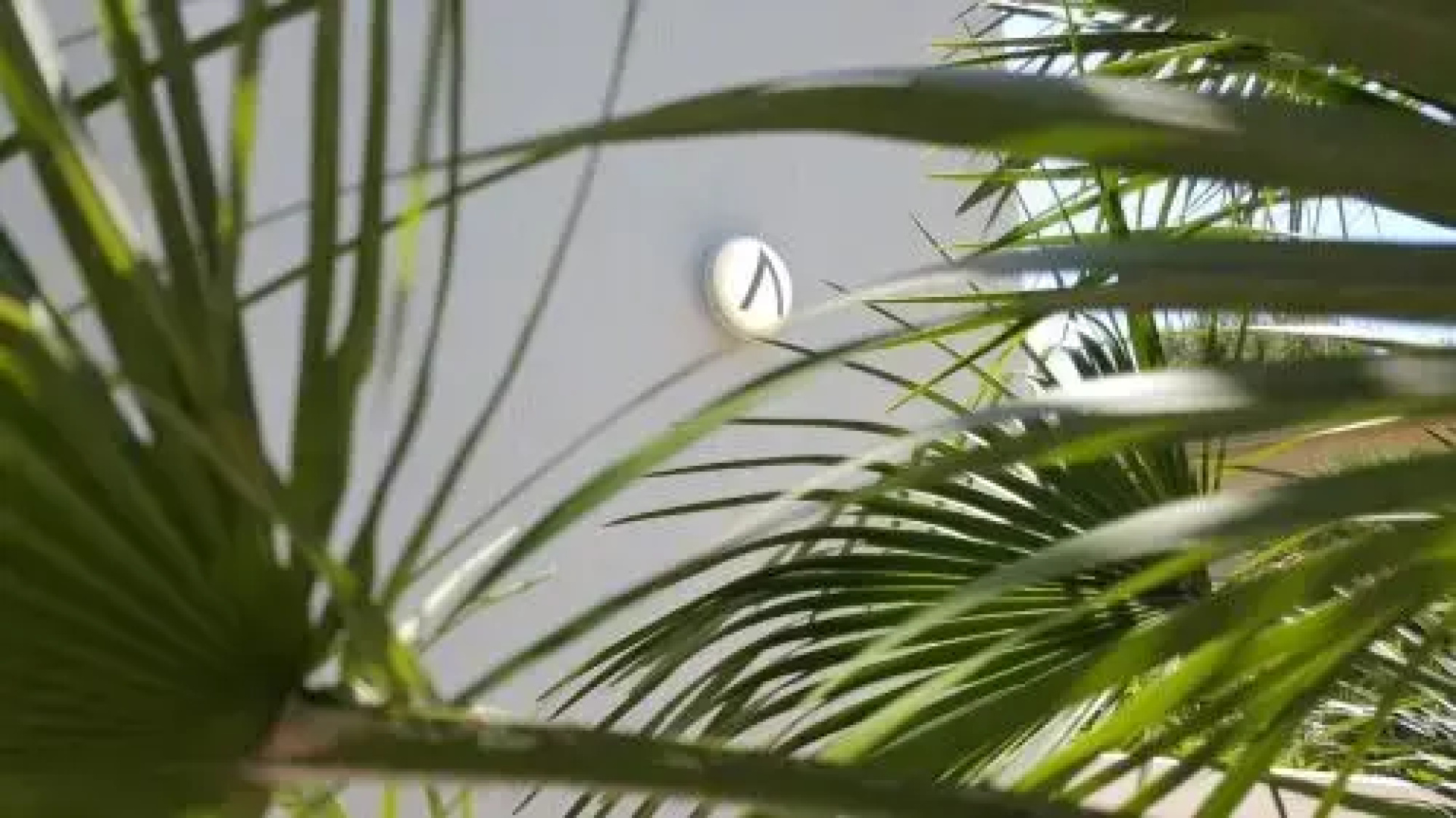 Phalanthos B&B