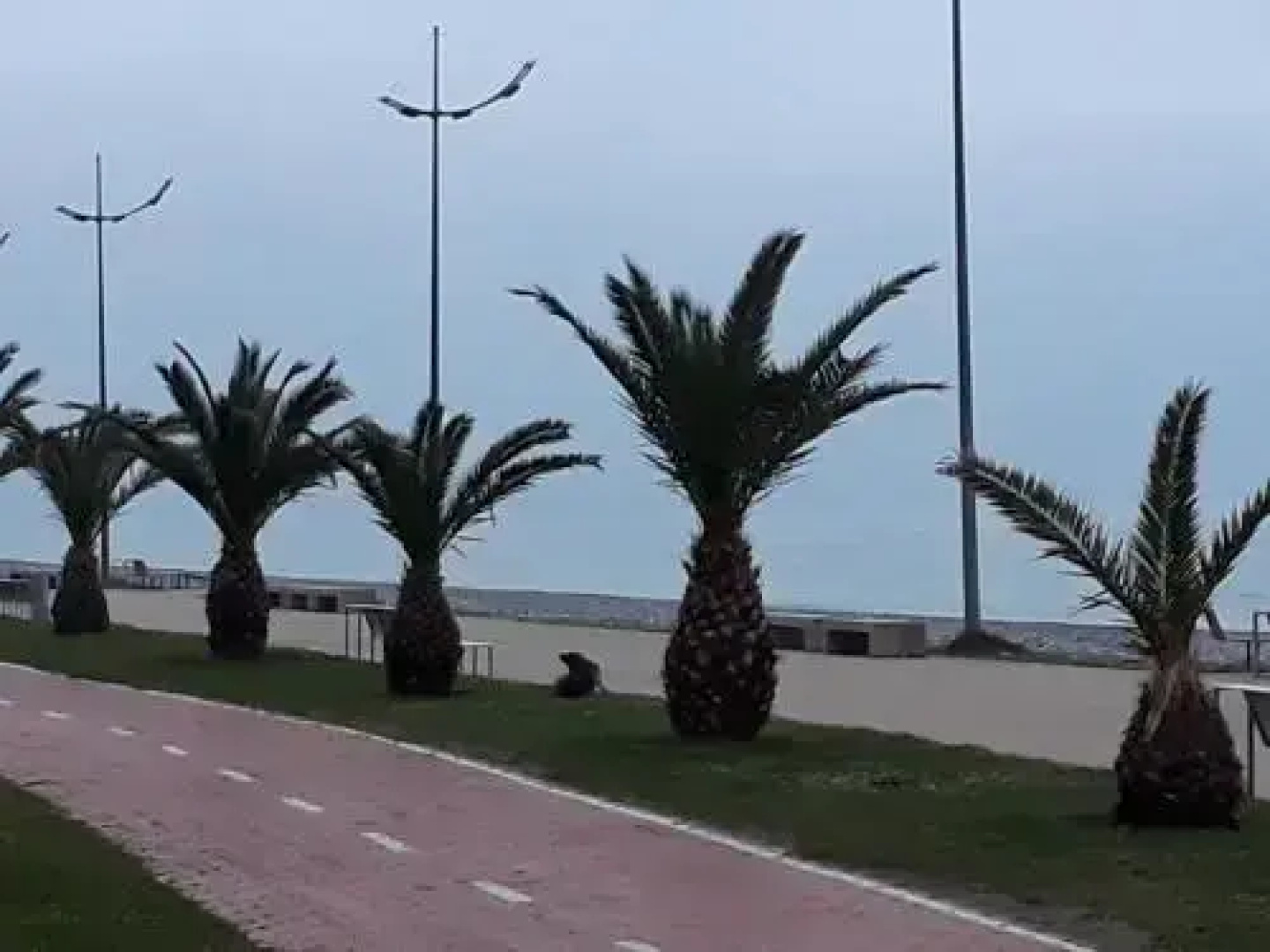 Orbi Plaza Batumi