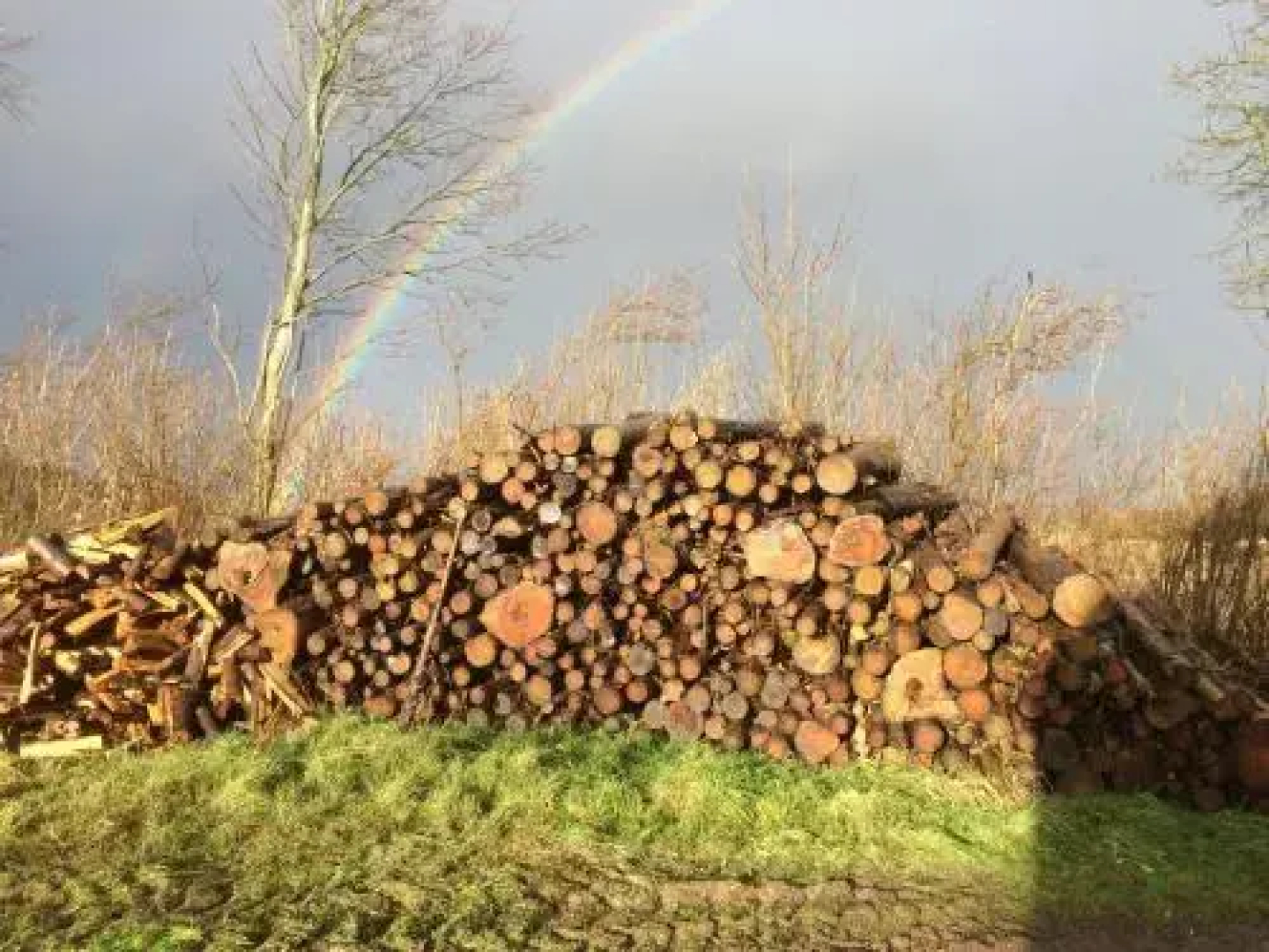 Skelgaard Ferielejlighed